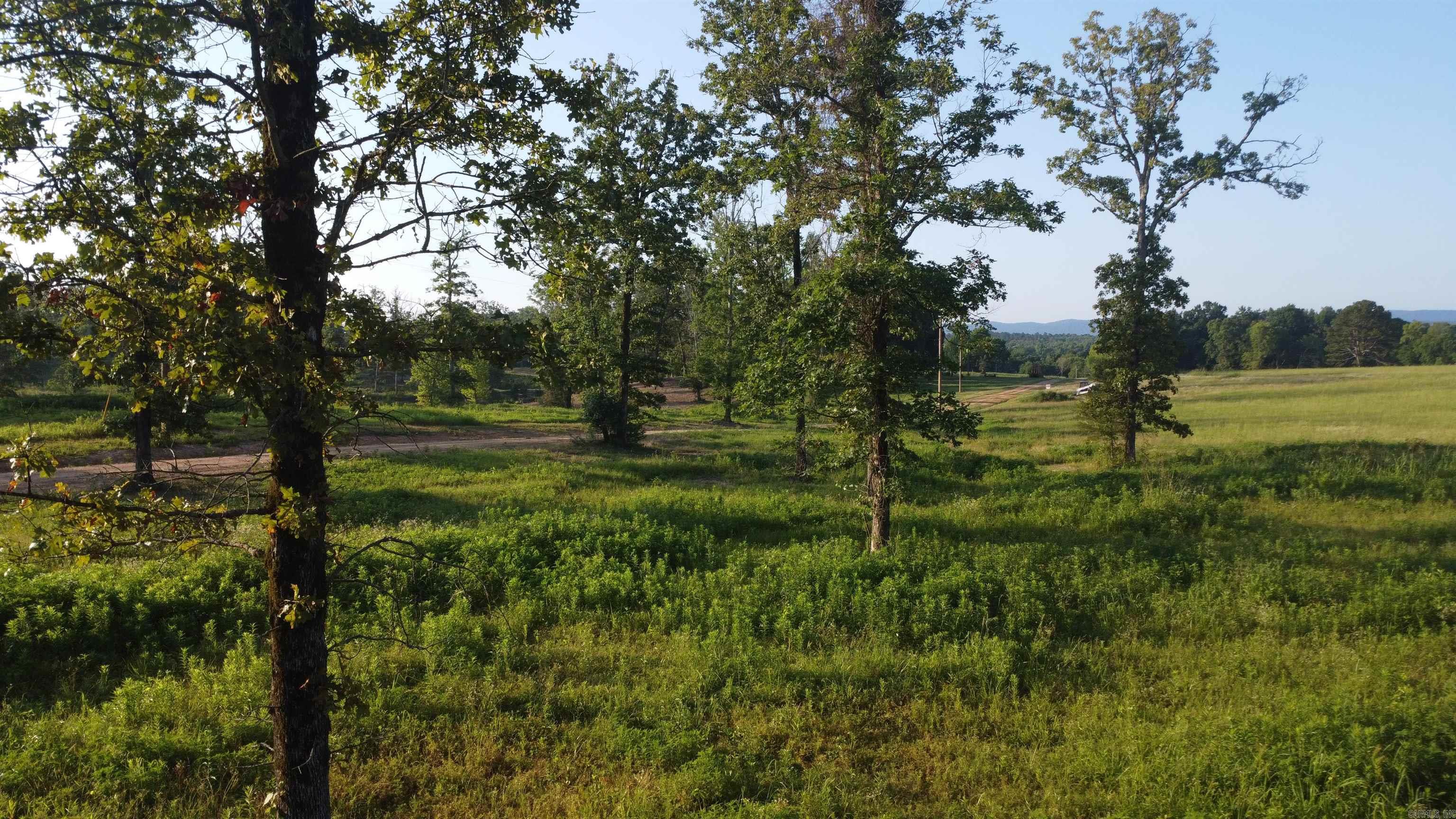 Tract 08 Tbd Whittington Homestead Property Photo 28