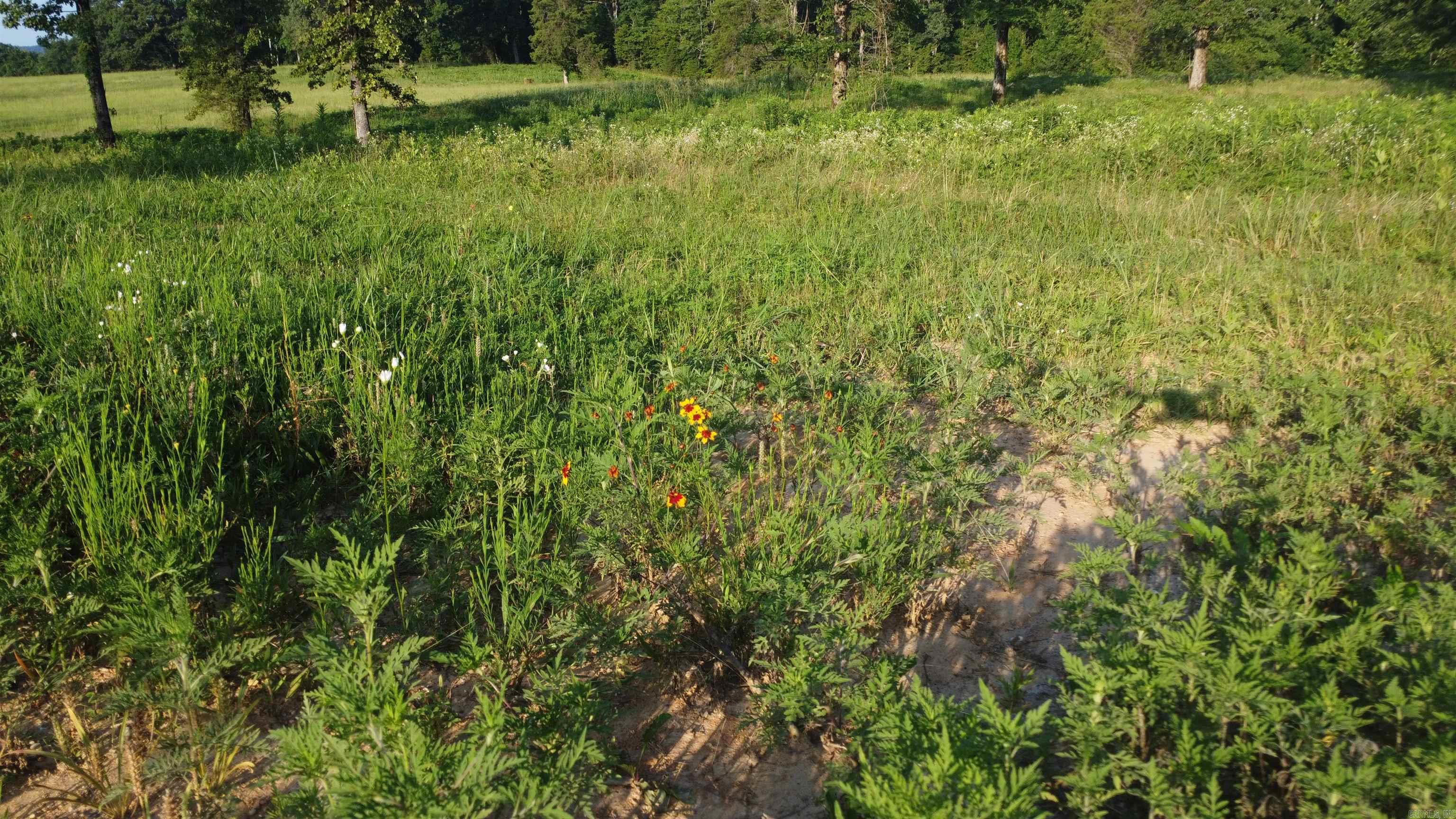 Tract 08 Tbd Whittington Homestead Property Photo 29
