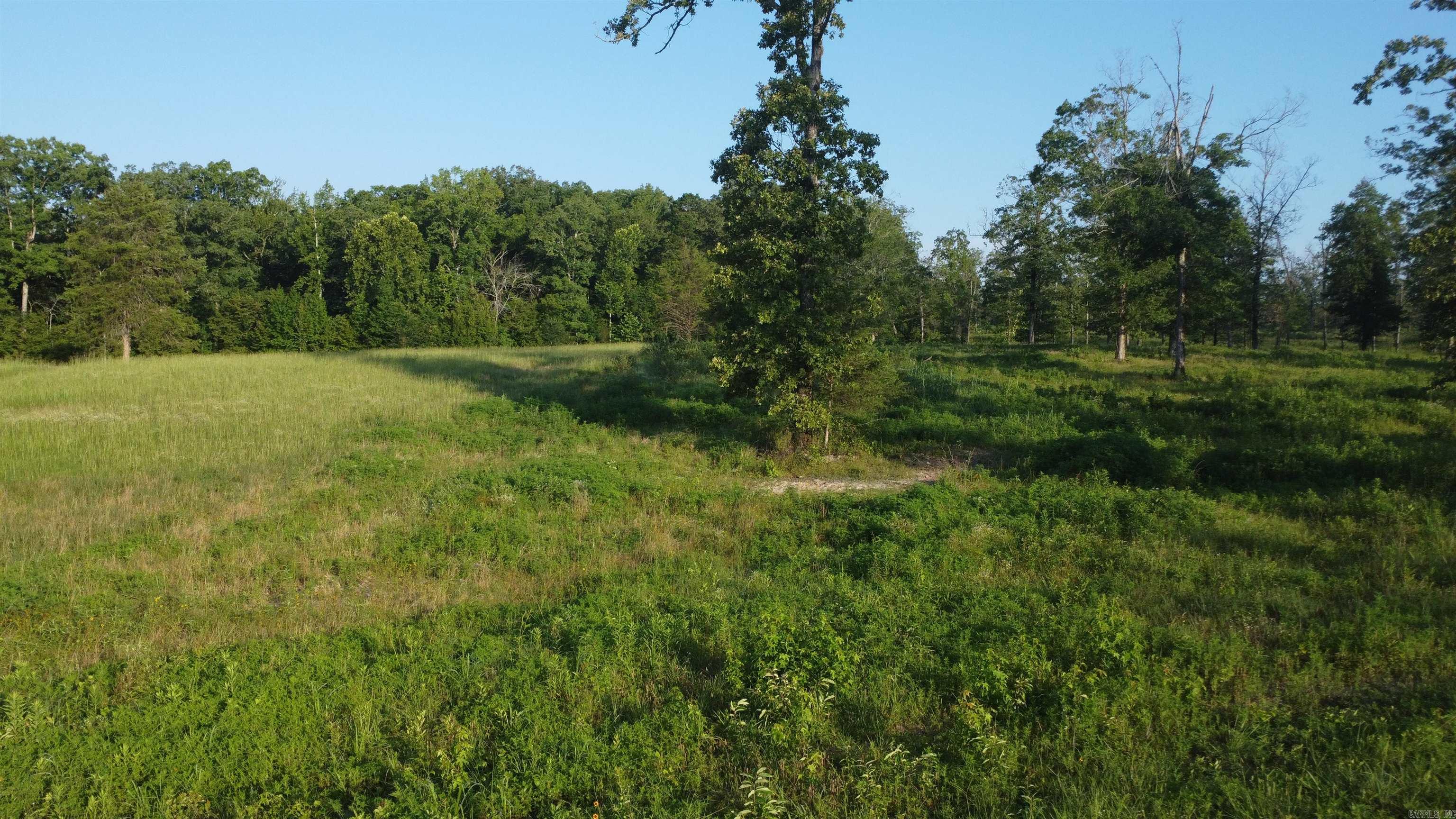Tract 08 Tbd Whittington Homestead Property Photo 31