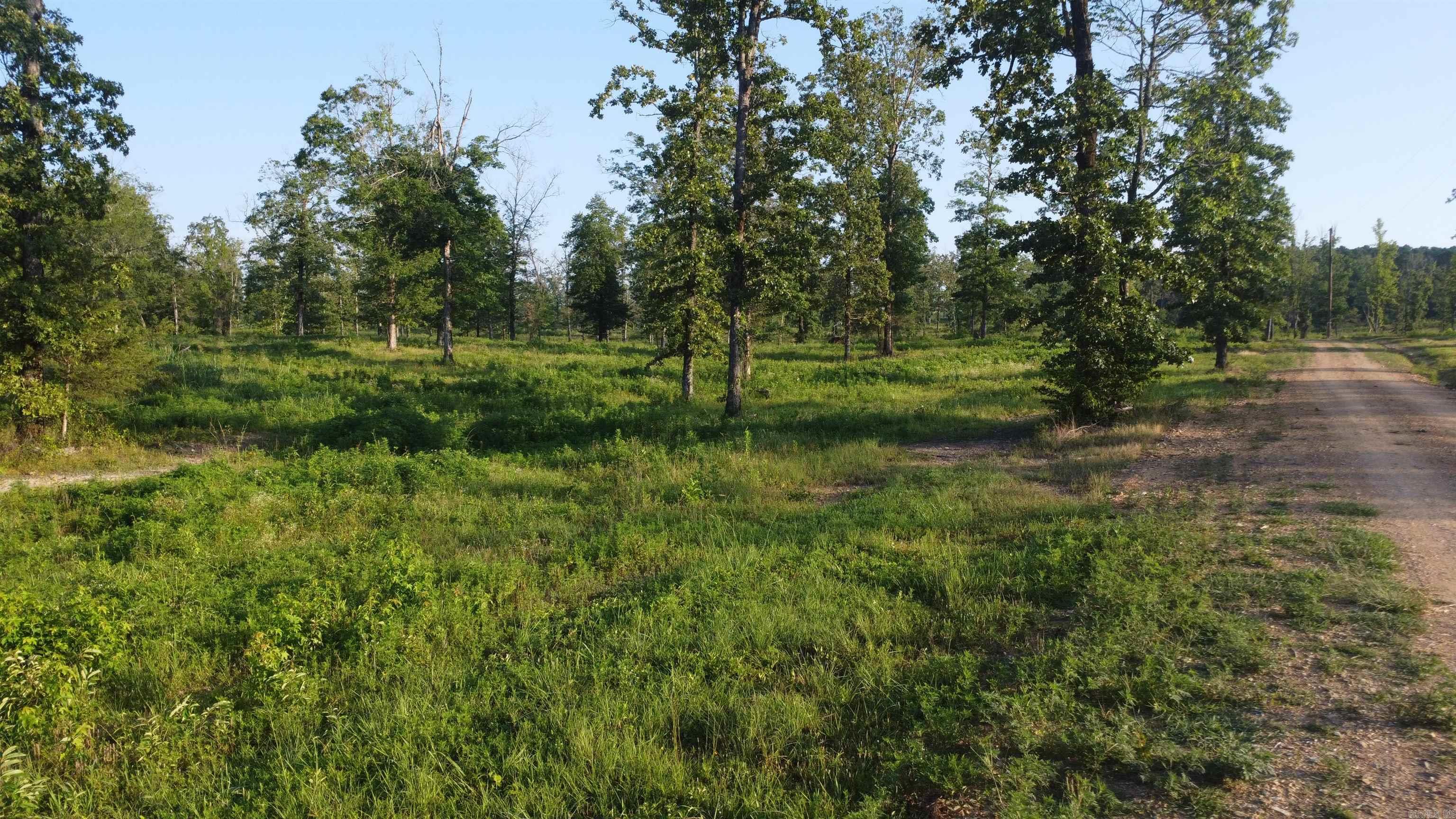 Tract 08 Tbd Whittington Homestead Property Photo 32