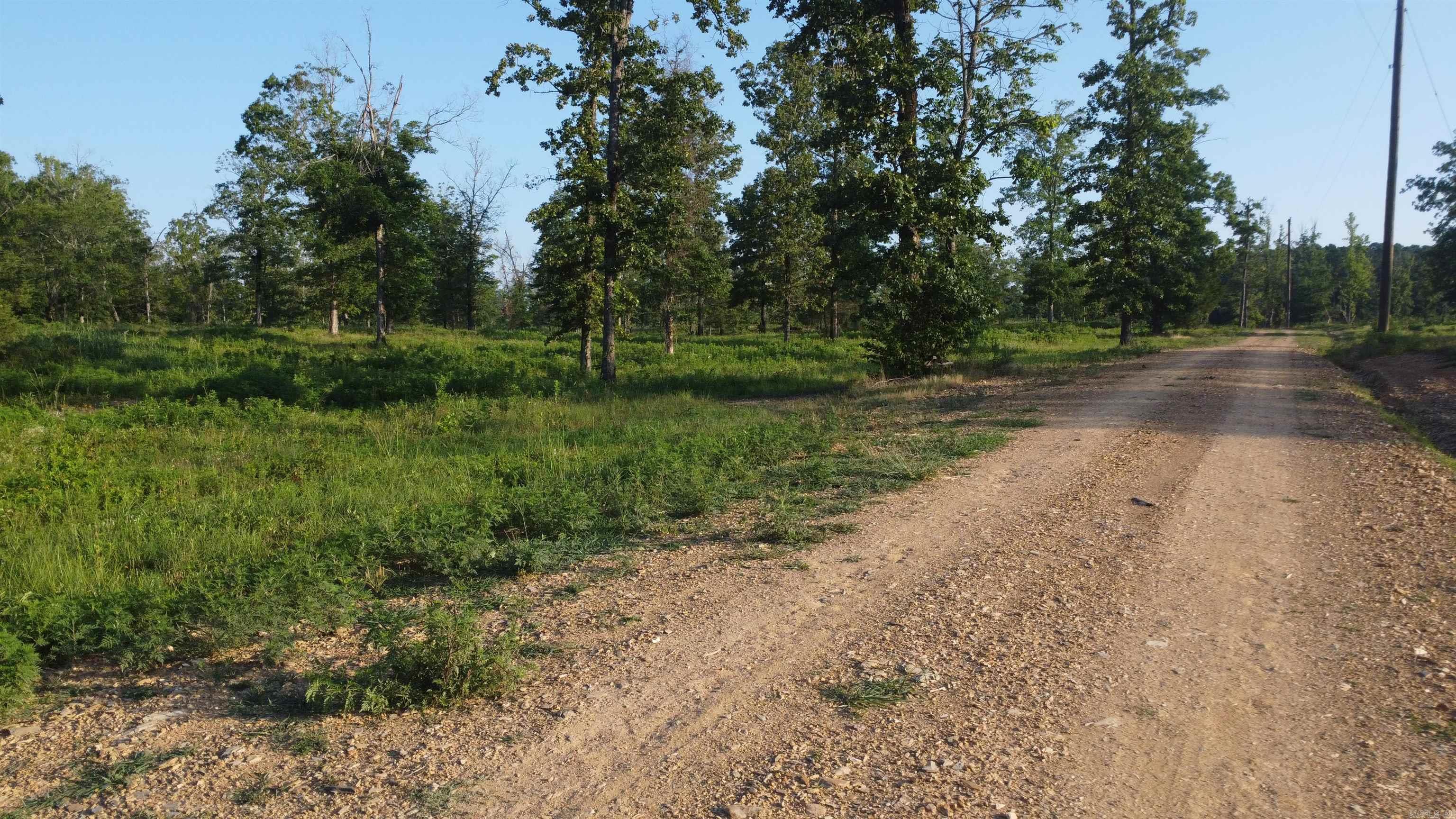 Tract 08 Tbd Whittington Homestead Property Photo 33