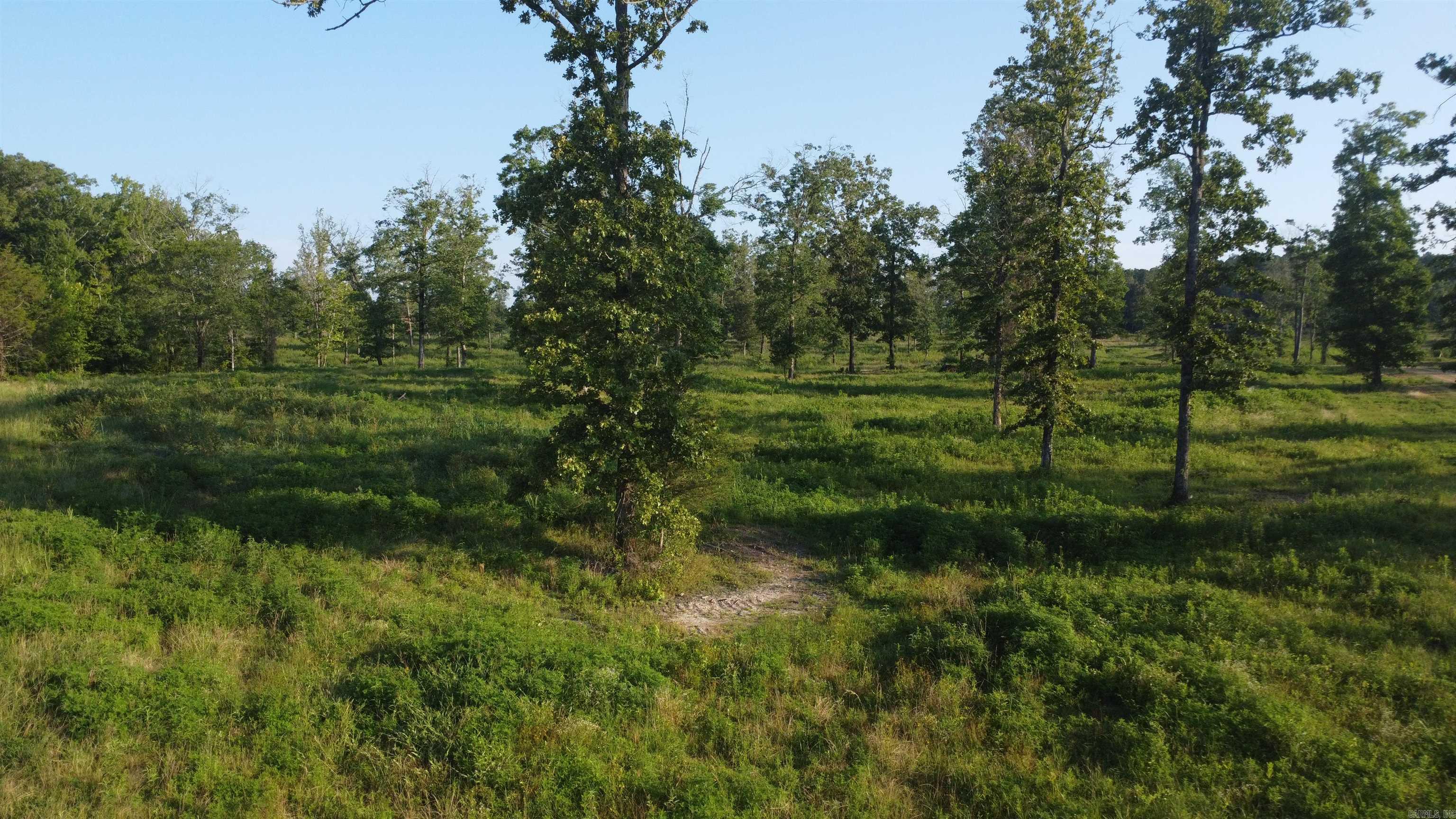 Tract 08 Tbd Whittington Homestead Property Photo 34