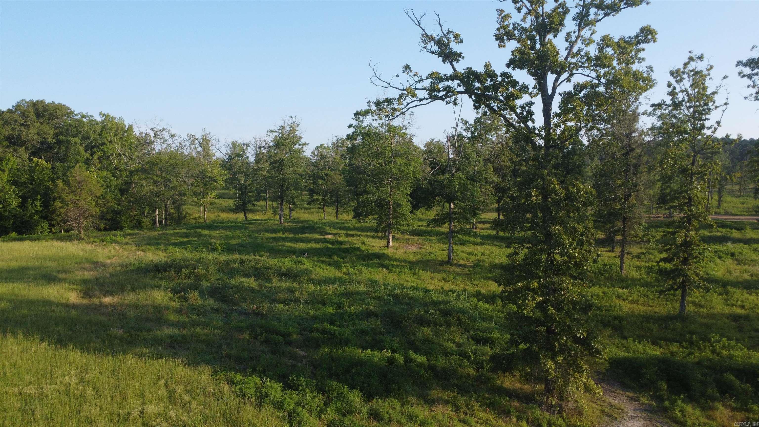 Tract 08 Tbd Whittington Homestead Property Photo 35