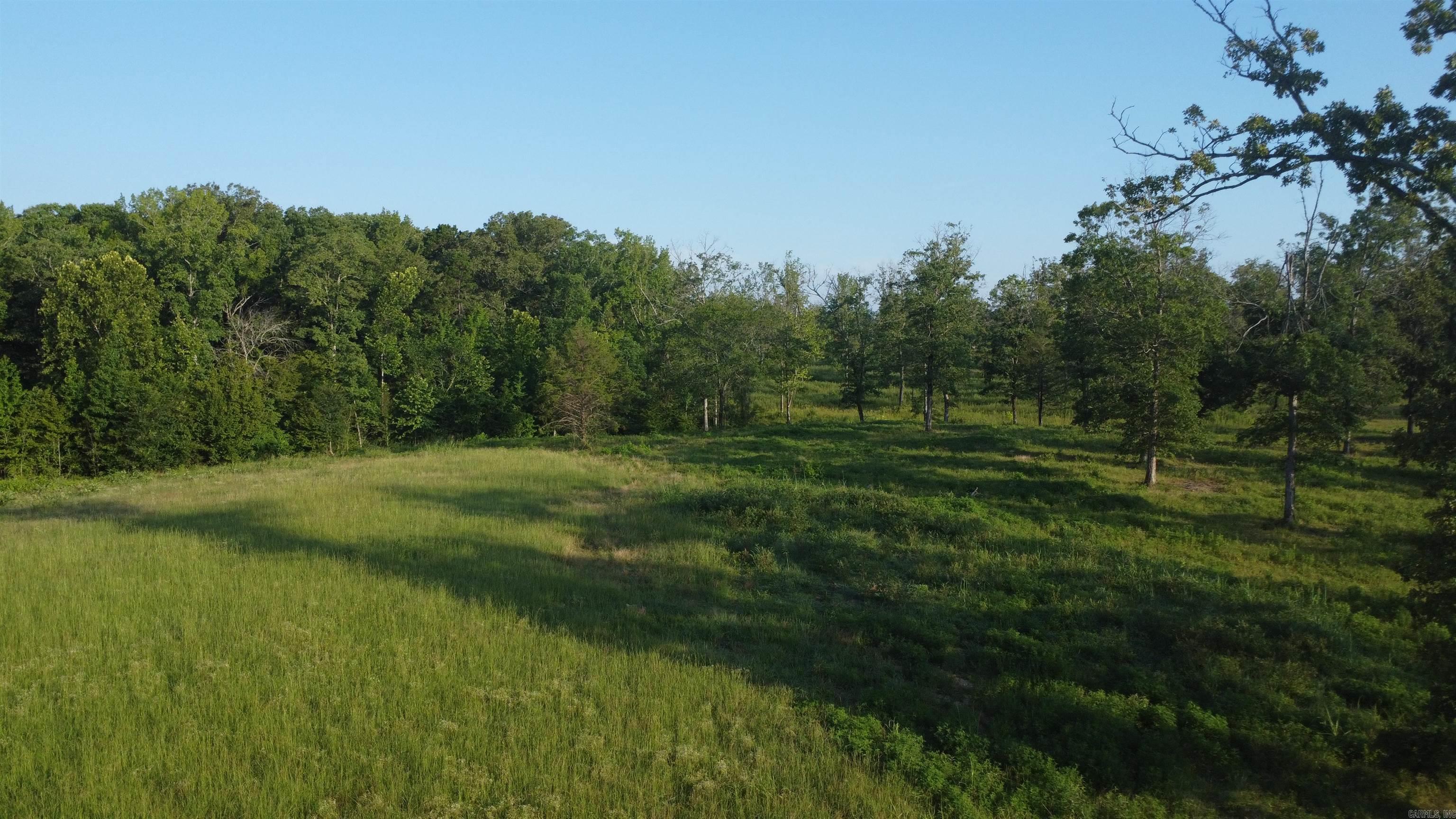 Tract 08 Tbd Whittington Homestead Property Photo 36