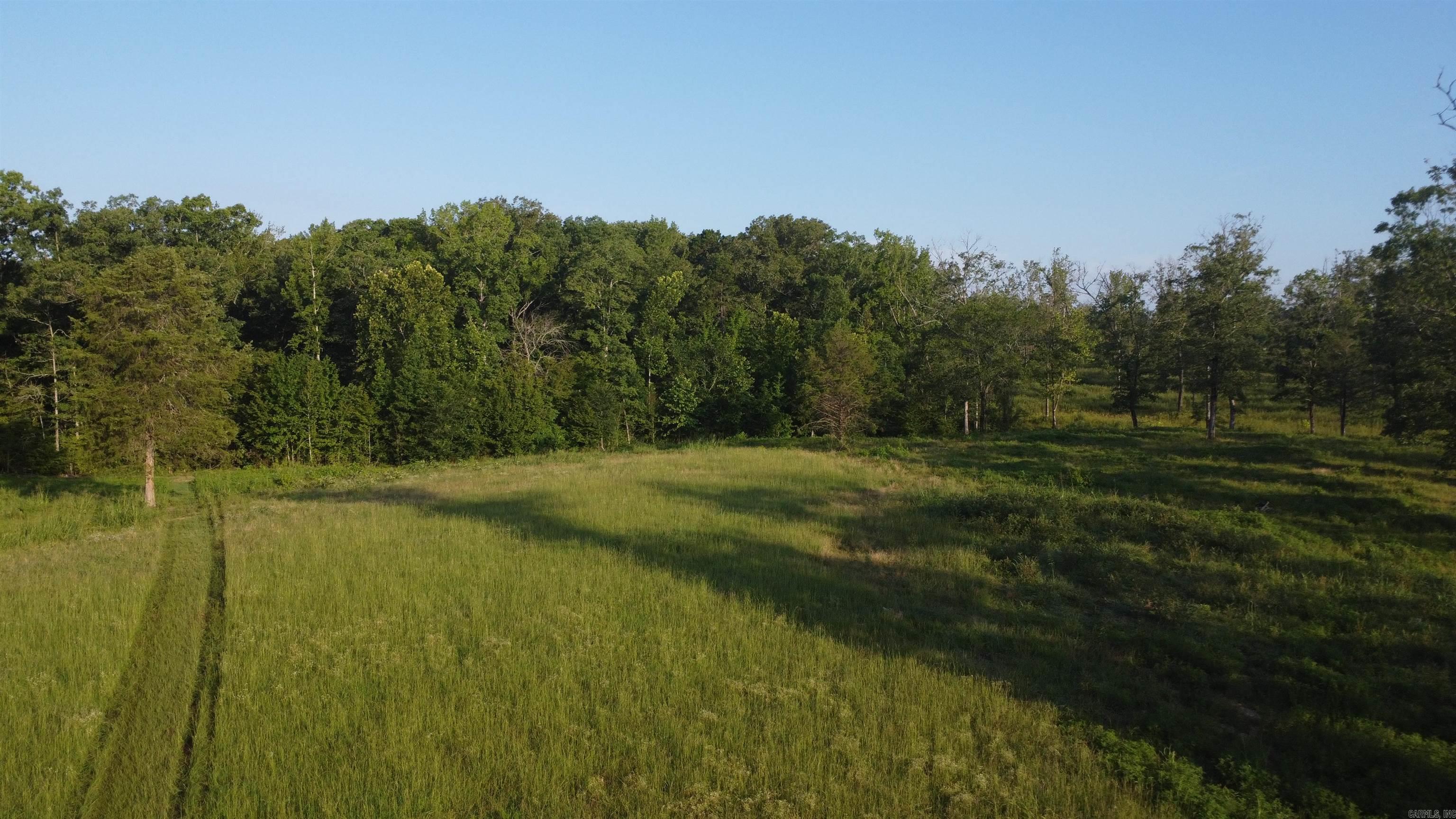 Tract 08 Tbd Whittington Homestead Property Photo 37
