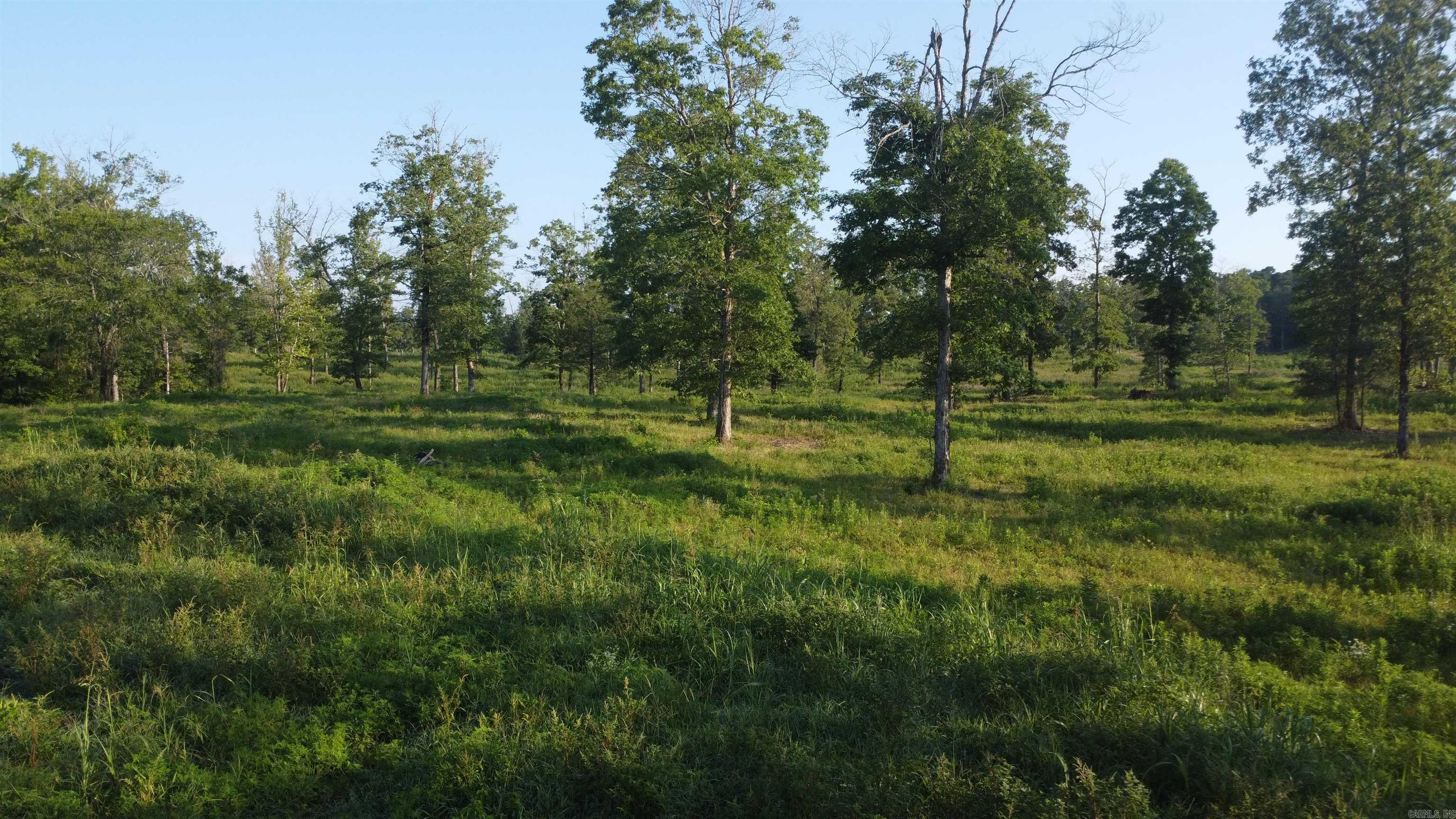 Tract 08 Tbd Whittington Homestead Property Photo 38