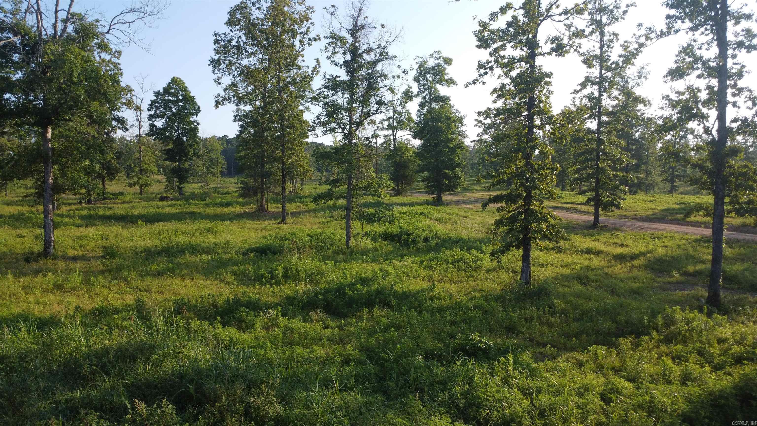 Tract 08 Tbd Whittington Homestead Property Photo 39