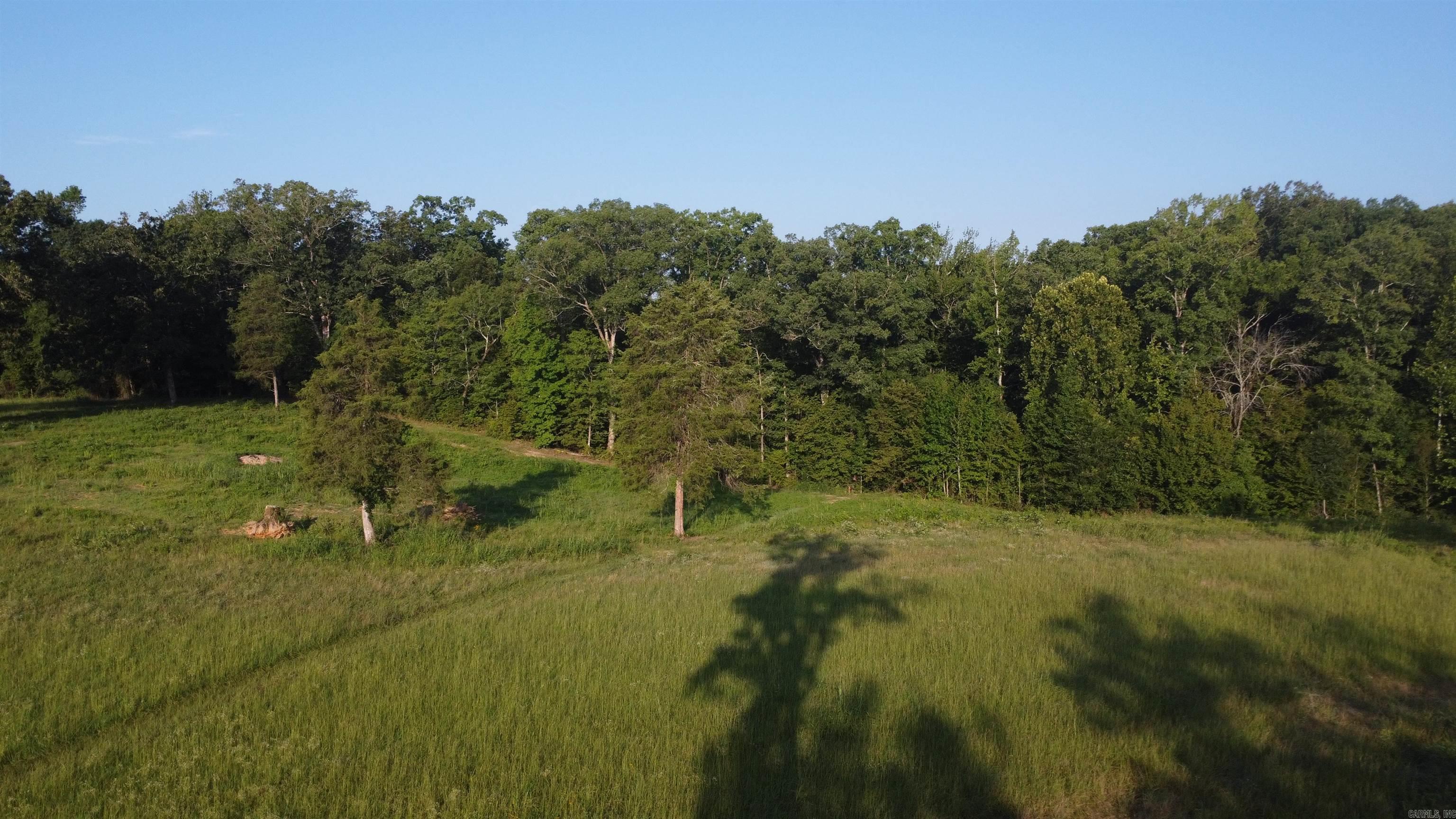 Tract 08 Tbd Whittington Homestead Property Photo 40