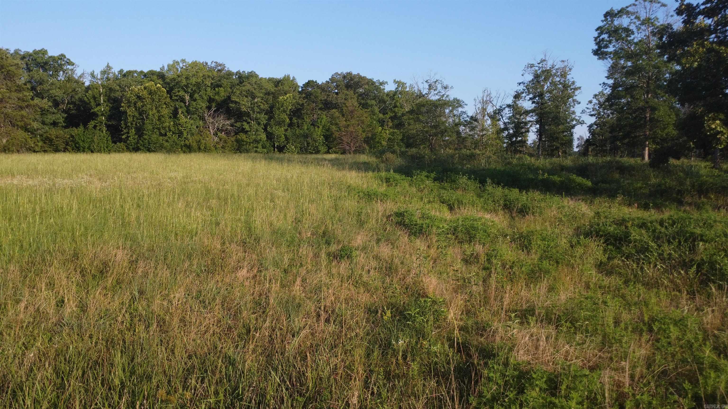 Tract 08 Tbd Whittington Homestead Property Photo 41