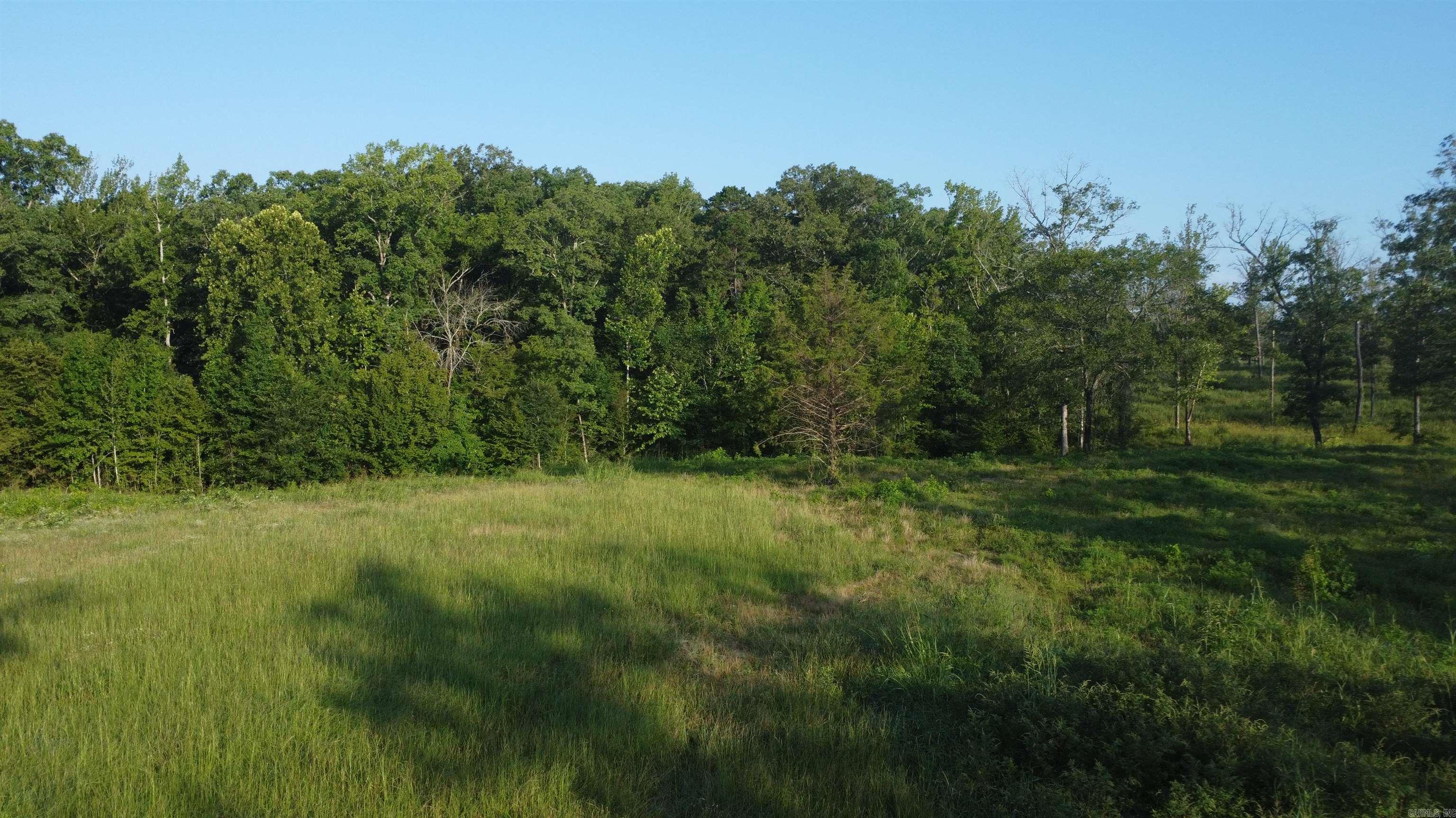 Tract 08 Tbd Whittington Homestead Property Photo 42