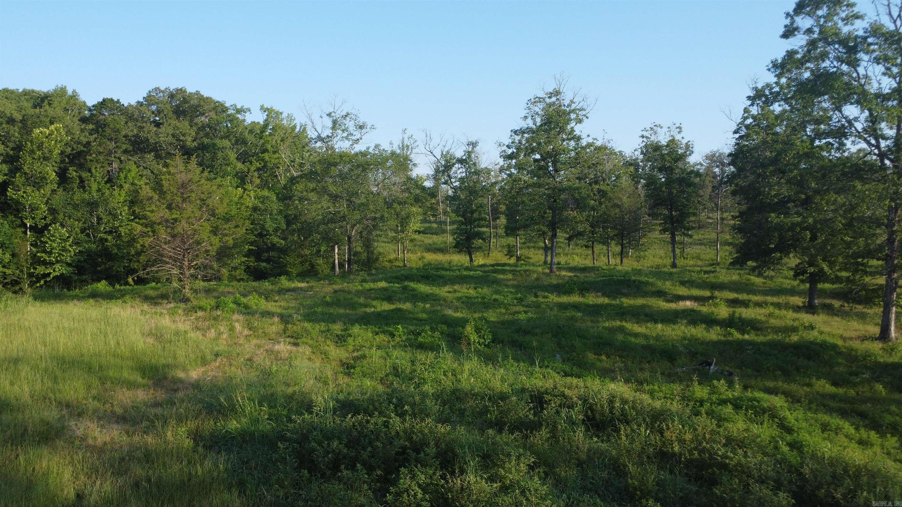 Tract 08 Tbd Whittington Homestead Property Photo 43