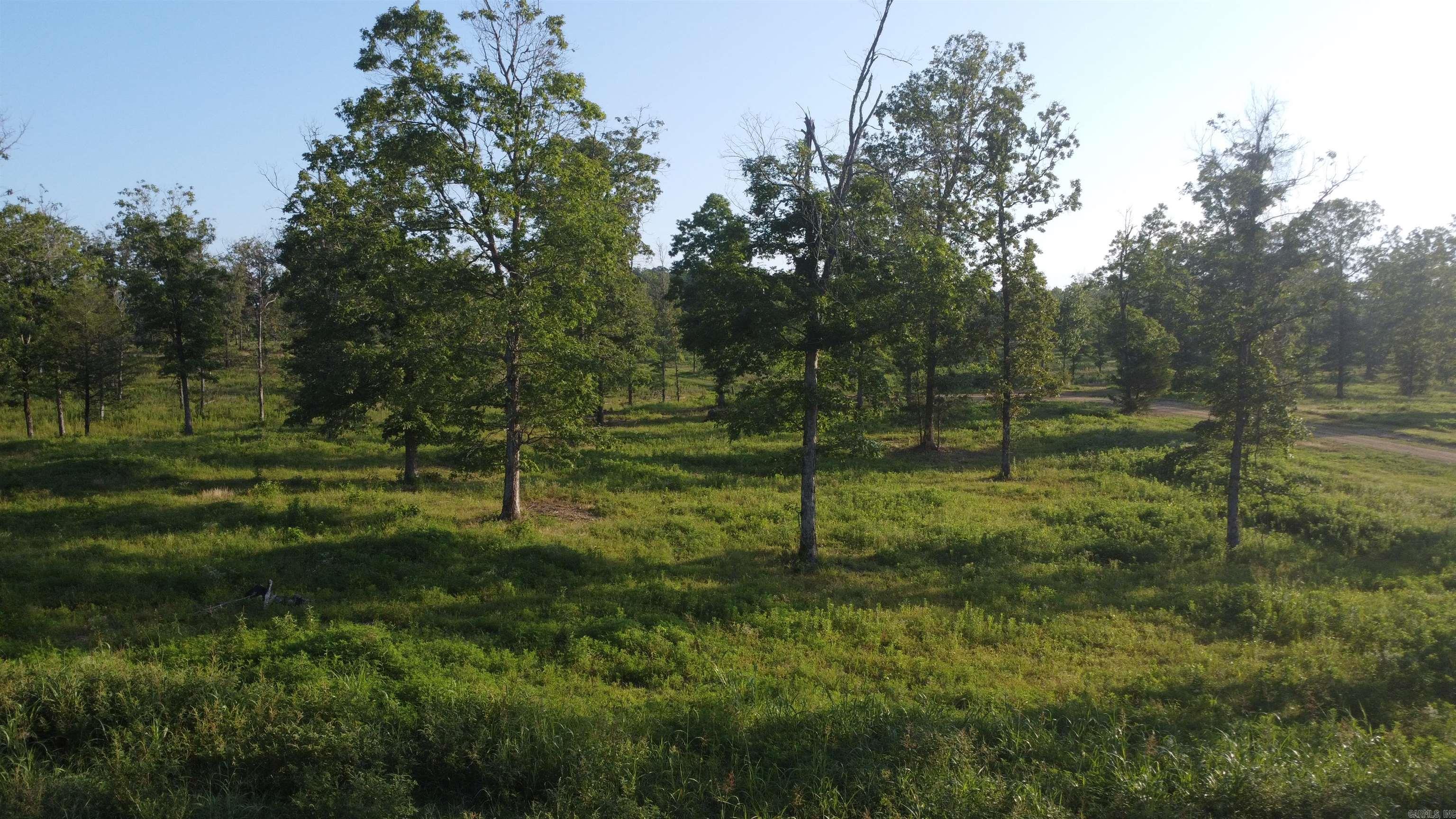 Tract 08 Tbd Whittington Homestead Property Photo 44