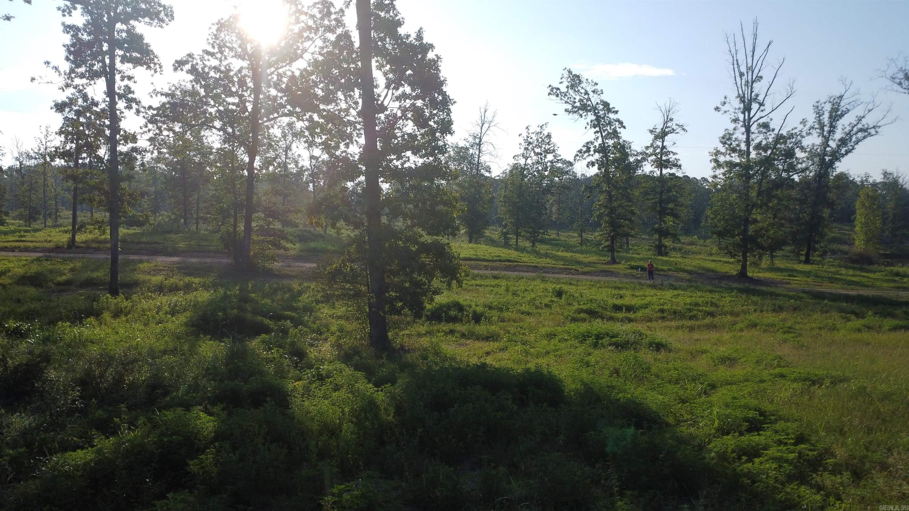 Tract 08 Tbd Whittington Homestead Property Photo 45