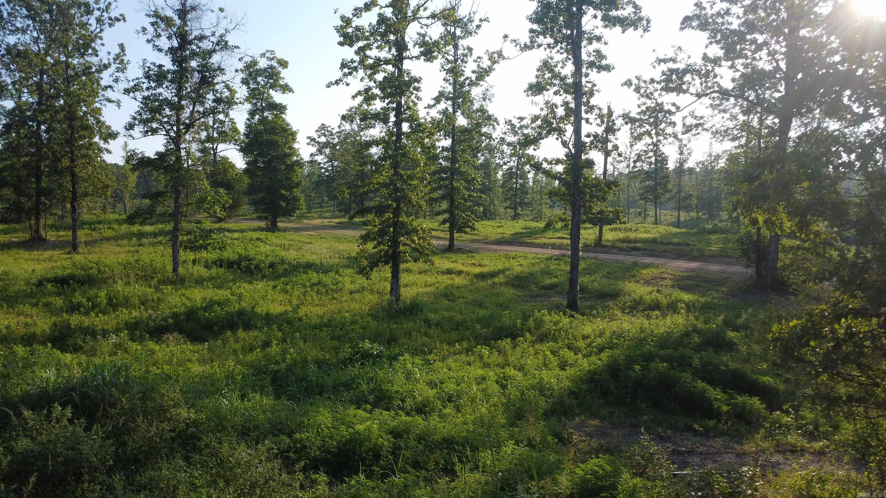 Tract 08 Tbd Whittington Homestead Property Photo 46