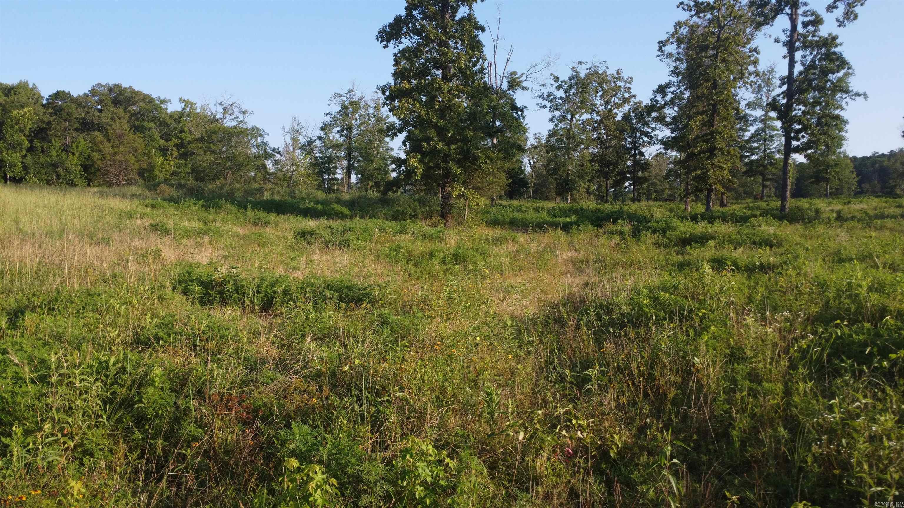 Tract 08 Tbd Whittington Homestead Property Photo 47