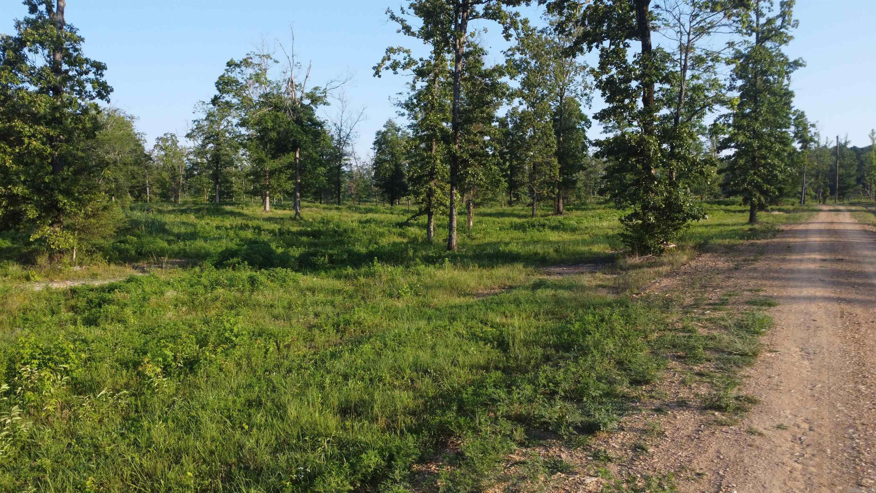 Tract 08 Tbd Whittington Homestead Property Photo 48