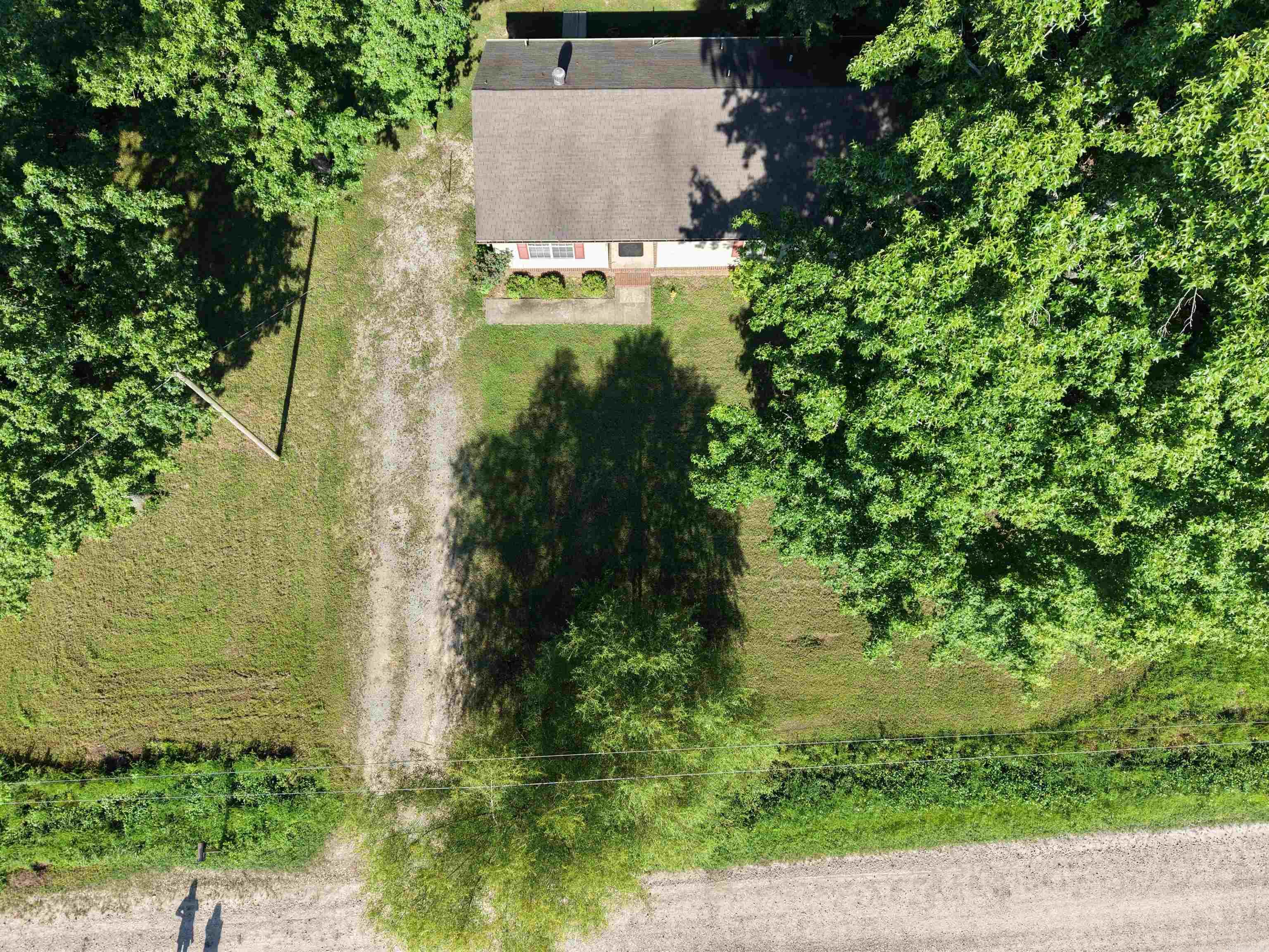 539 County Road 338 Property Photo 6