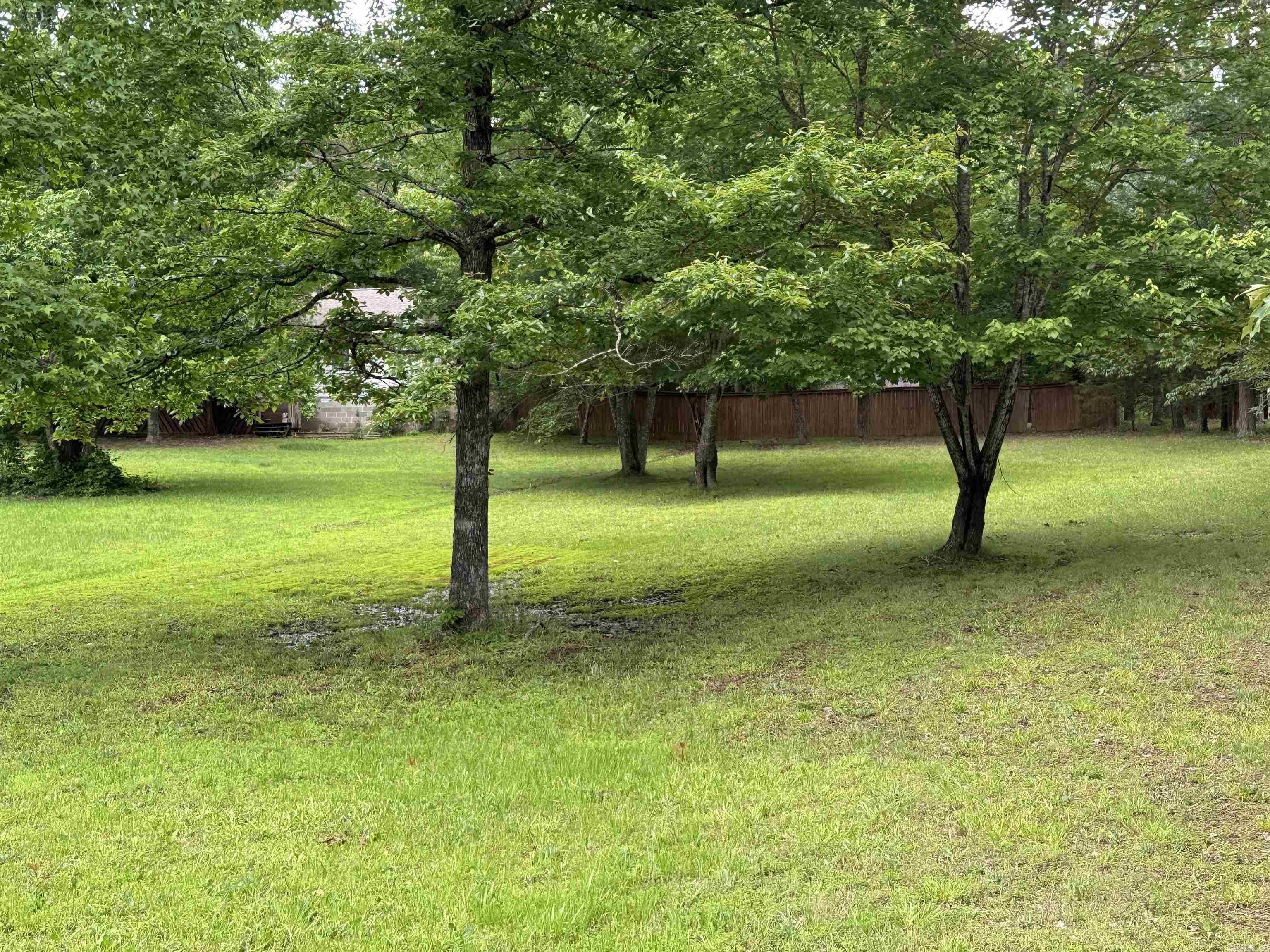 41 Dogwood Drive Property Photo 25
