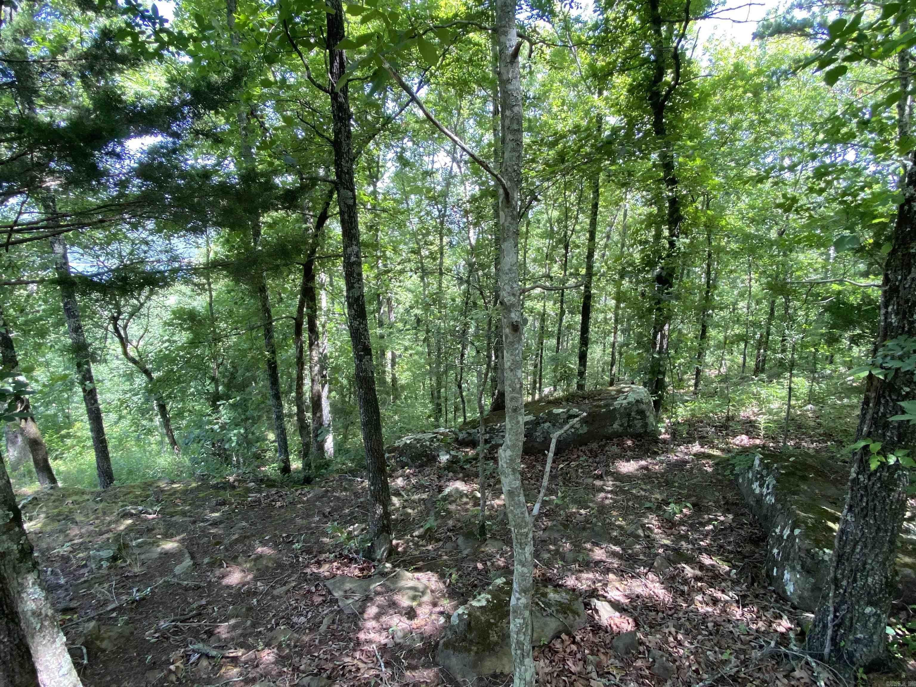Lot 4 Bluff Drive Property Photo 3