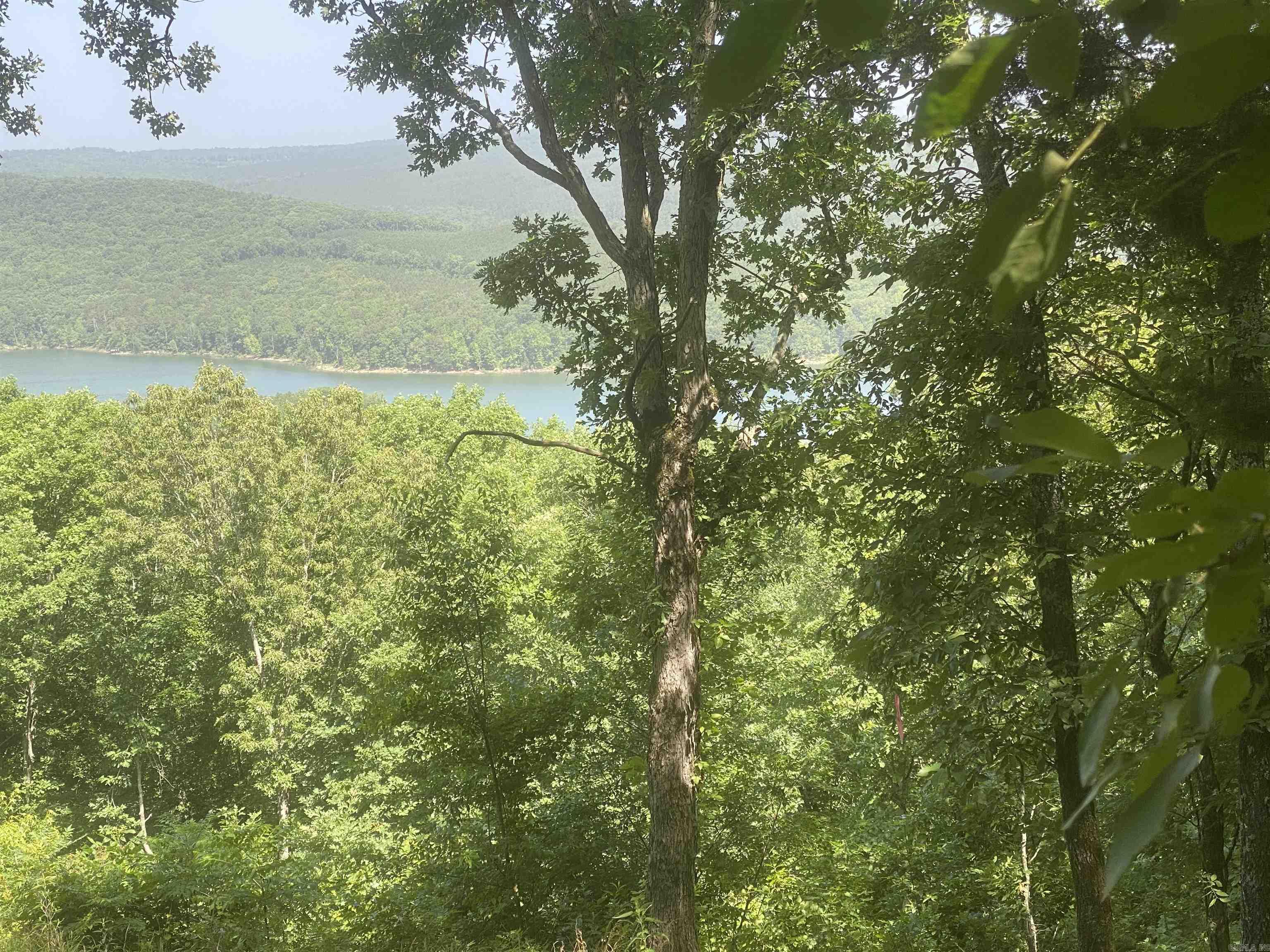 Lot 4 Bluff Drive Property Photo 4