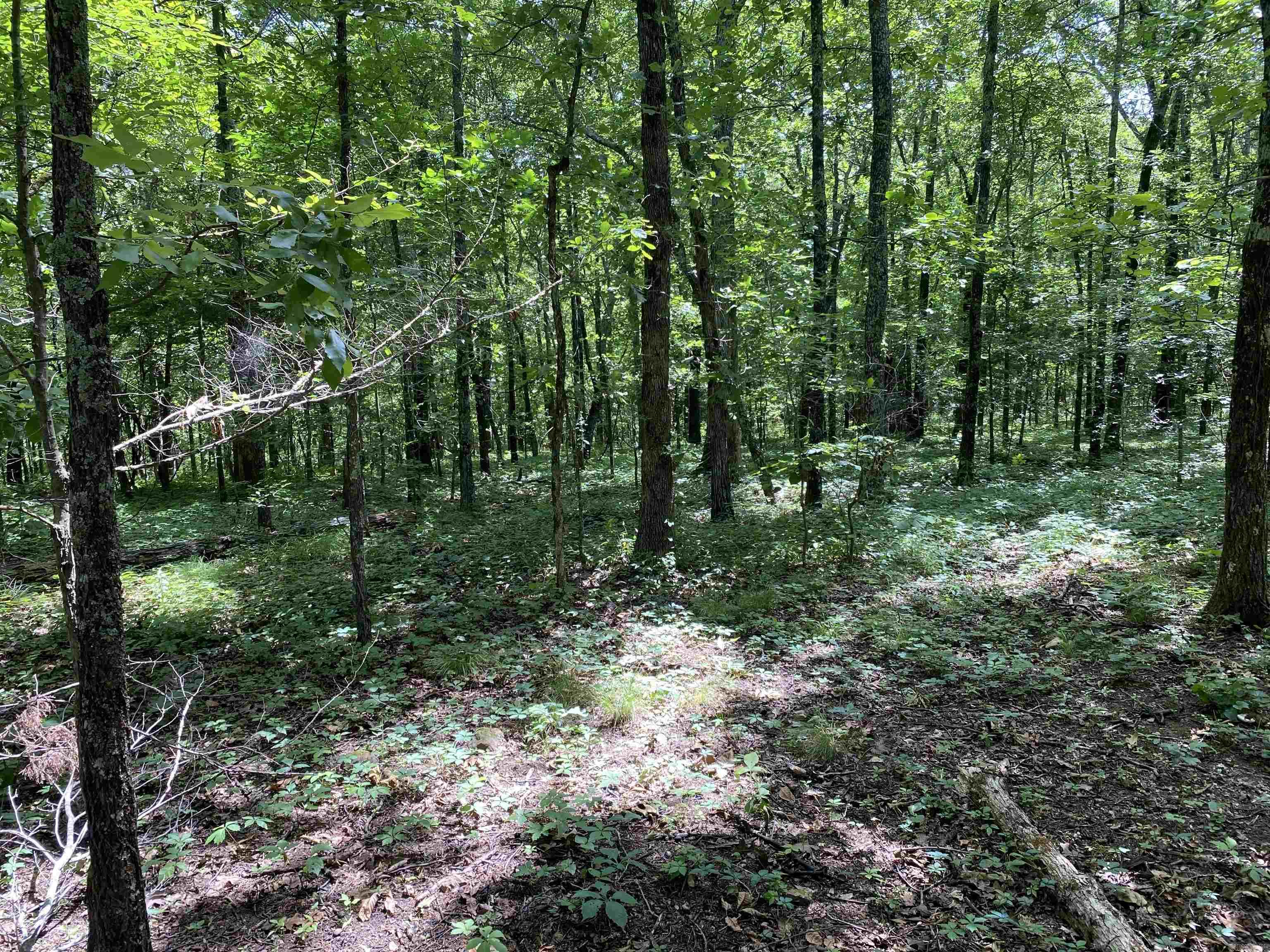 Lot 4 Bluff Drive Property Photo 5