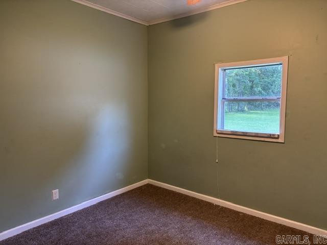 164 Razorback Road Property Photo 3