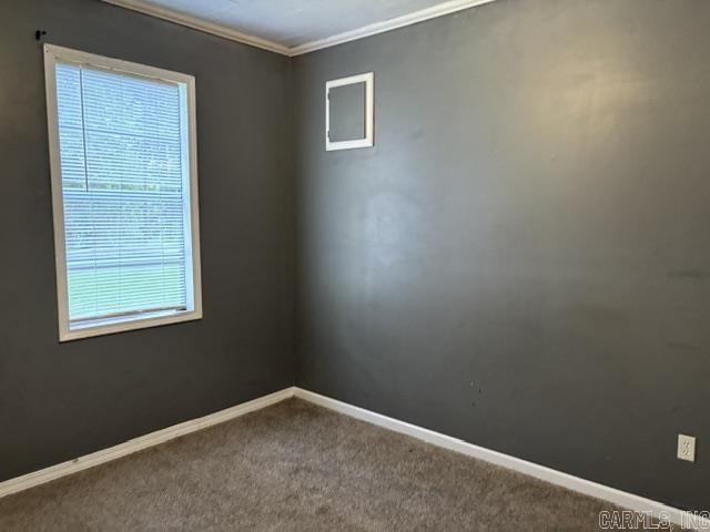 164 Razorback Road Property Photo 4