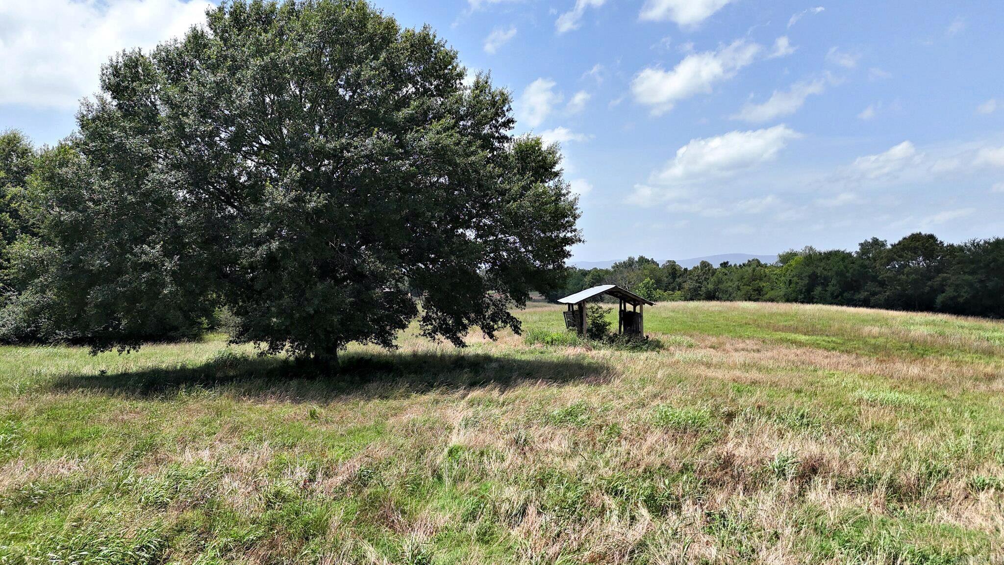 Tbd Polk Road 283 Property Photo 3