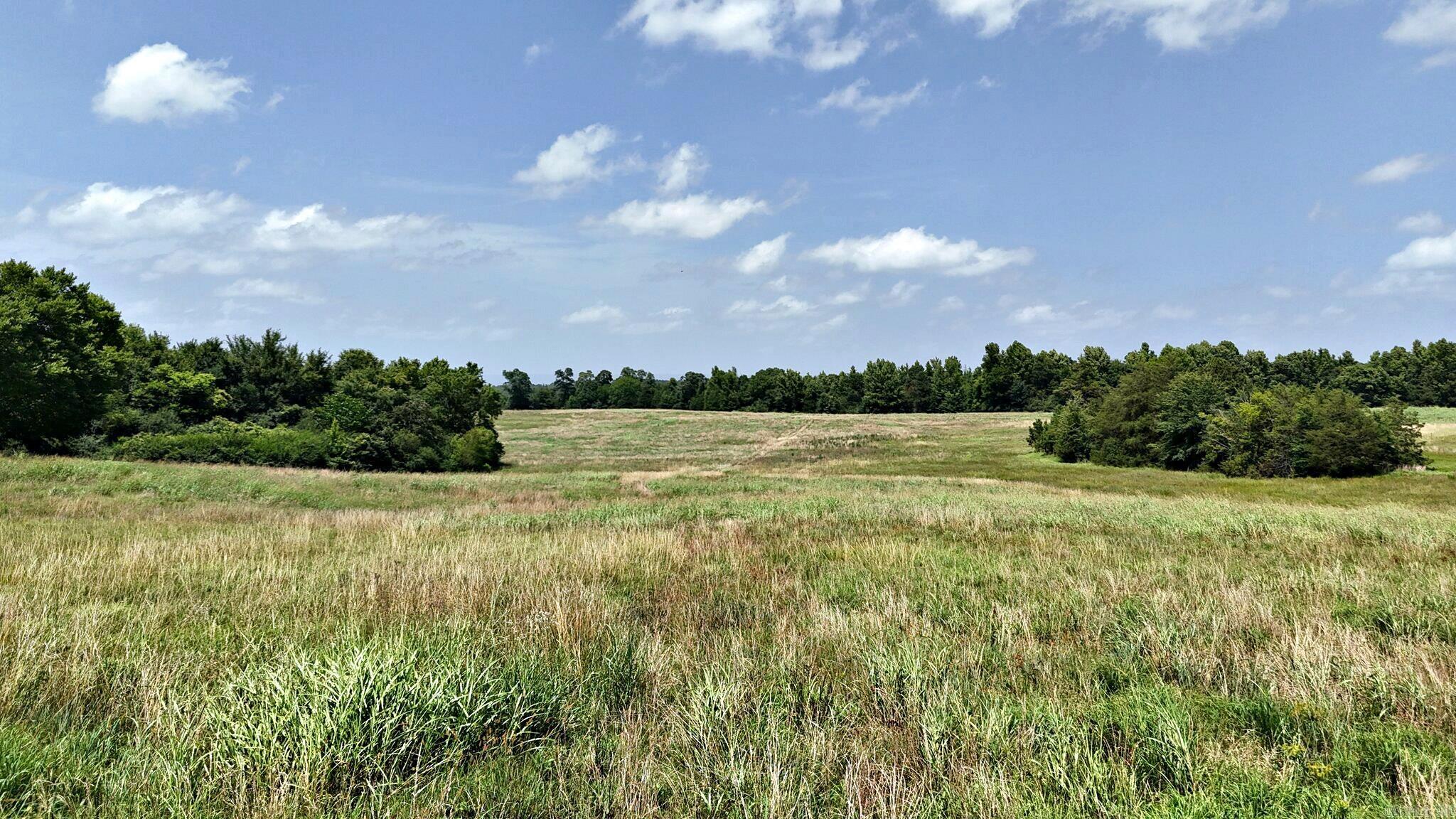 Tbd Polk Road 283 Property Photo 5