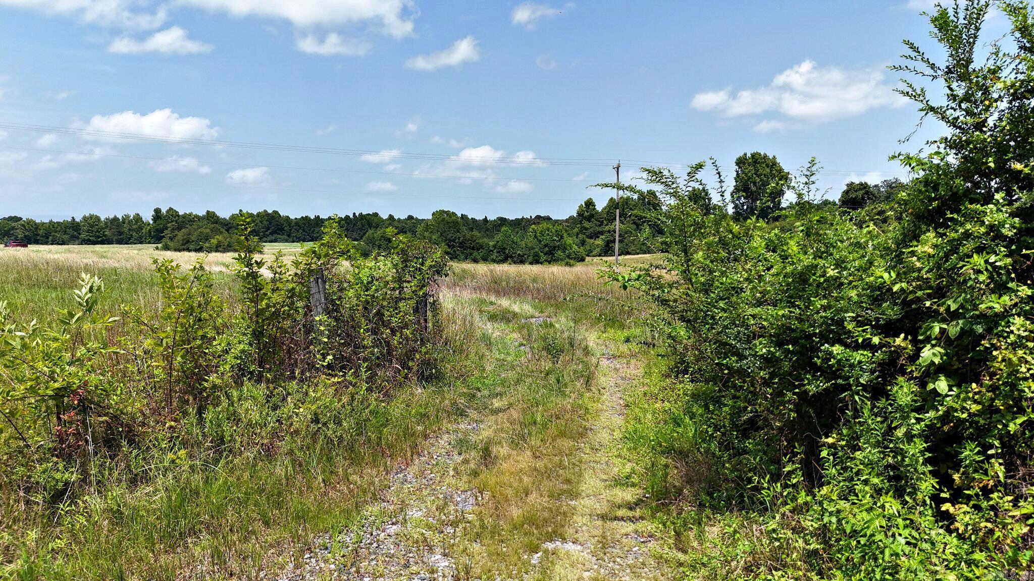 Tbd Polk Road 283 Property Photo 19