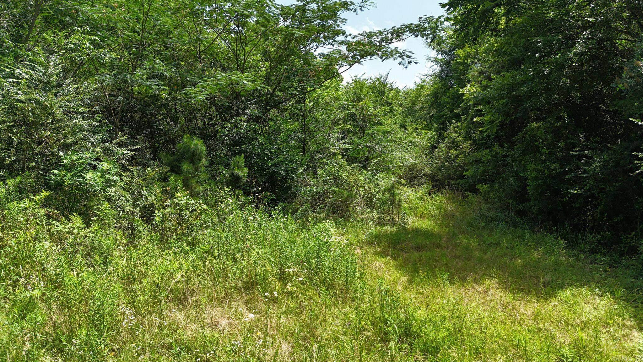 Tbd Polk Road 283 Property Photo 30