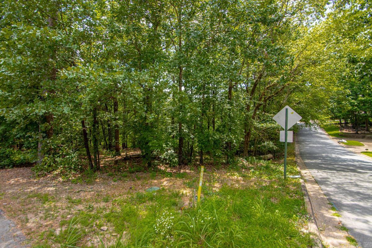 13001 Ridgehaven Road Property Photo 2
