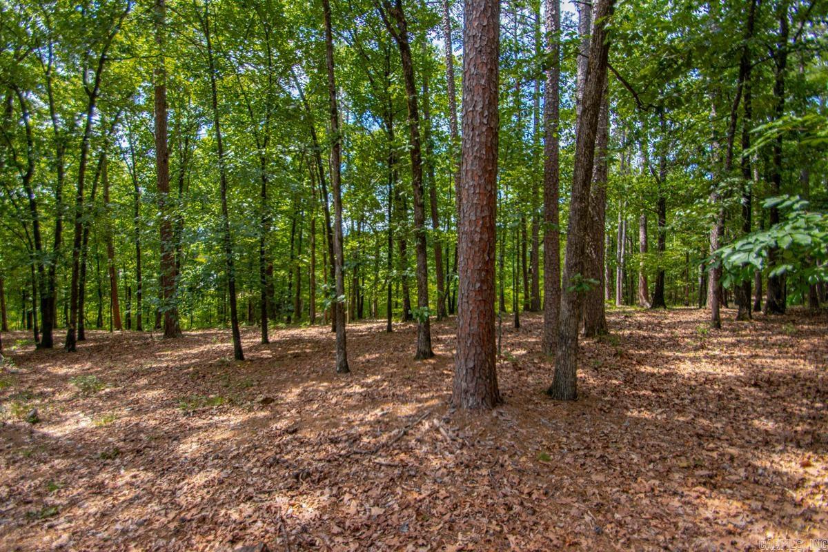 13001 Ridgehaven Road Property Photo 9