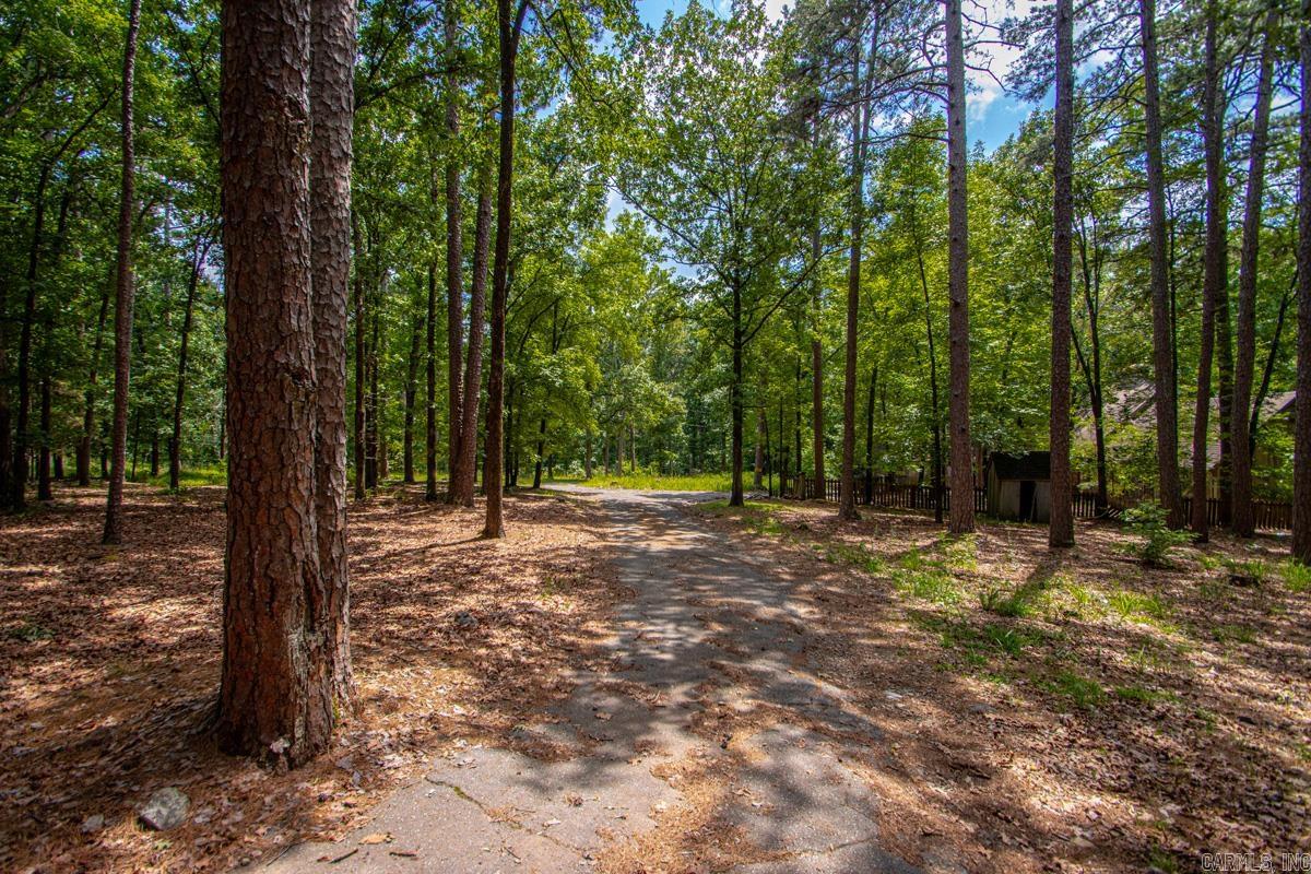 13001 Ridgehaven Road Property Photo 10