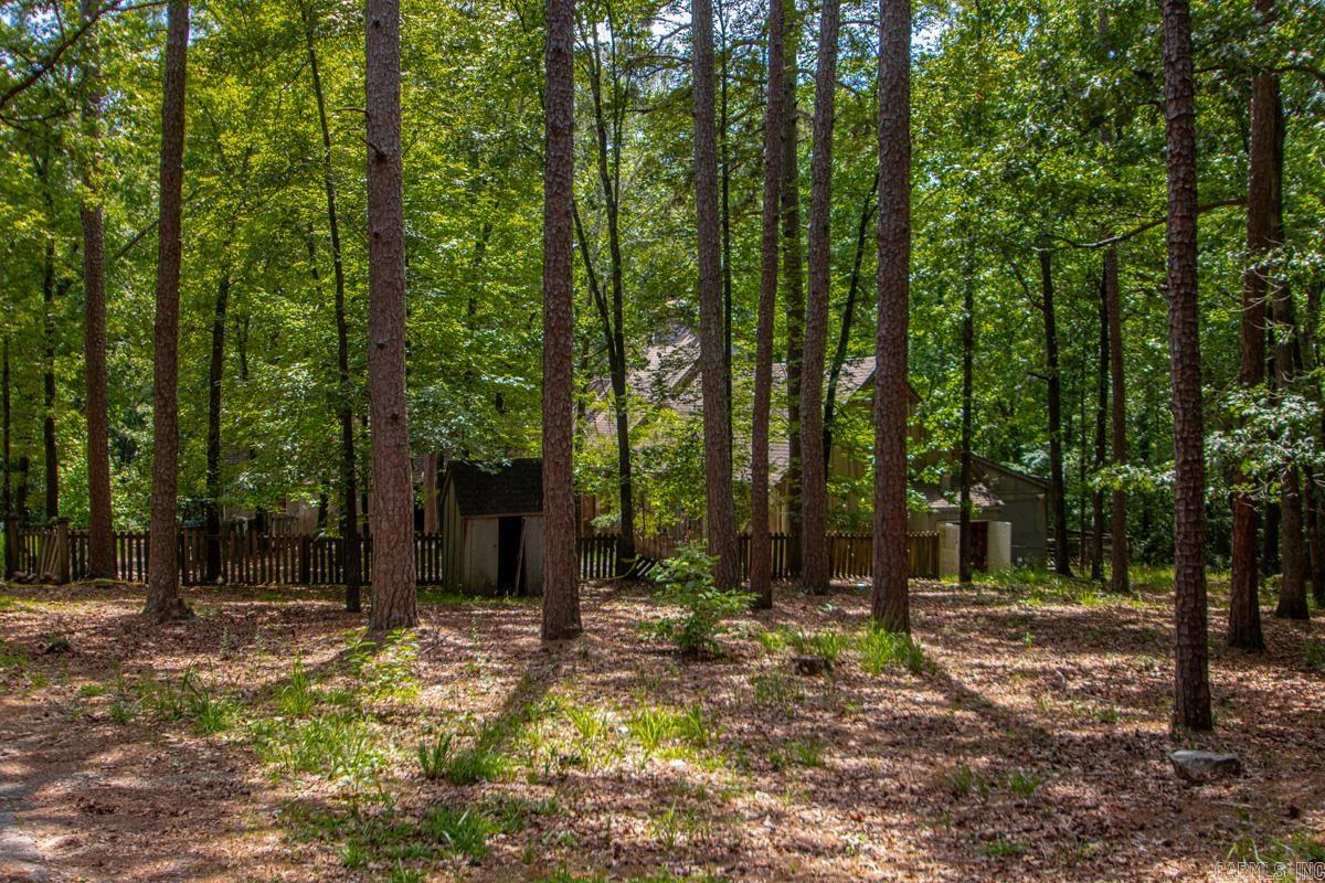 13001 Ridgehaven Road Property Photo 11