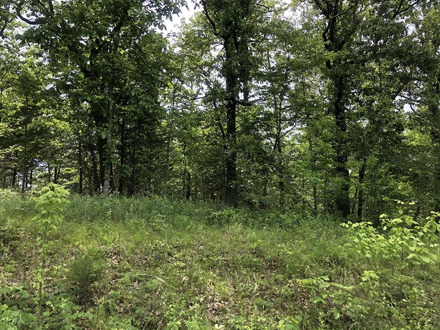 Assiniboin Lane Property Photo 1