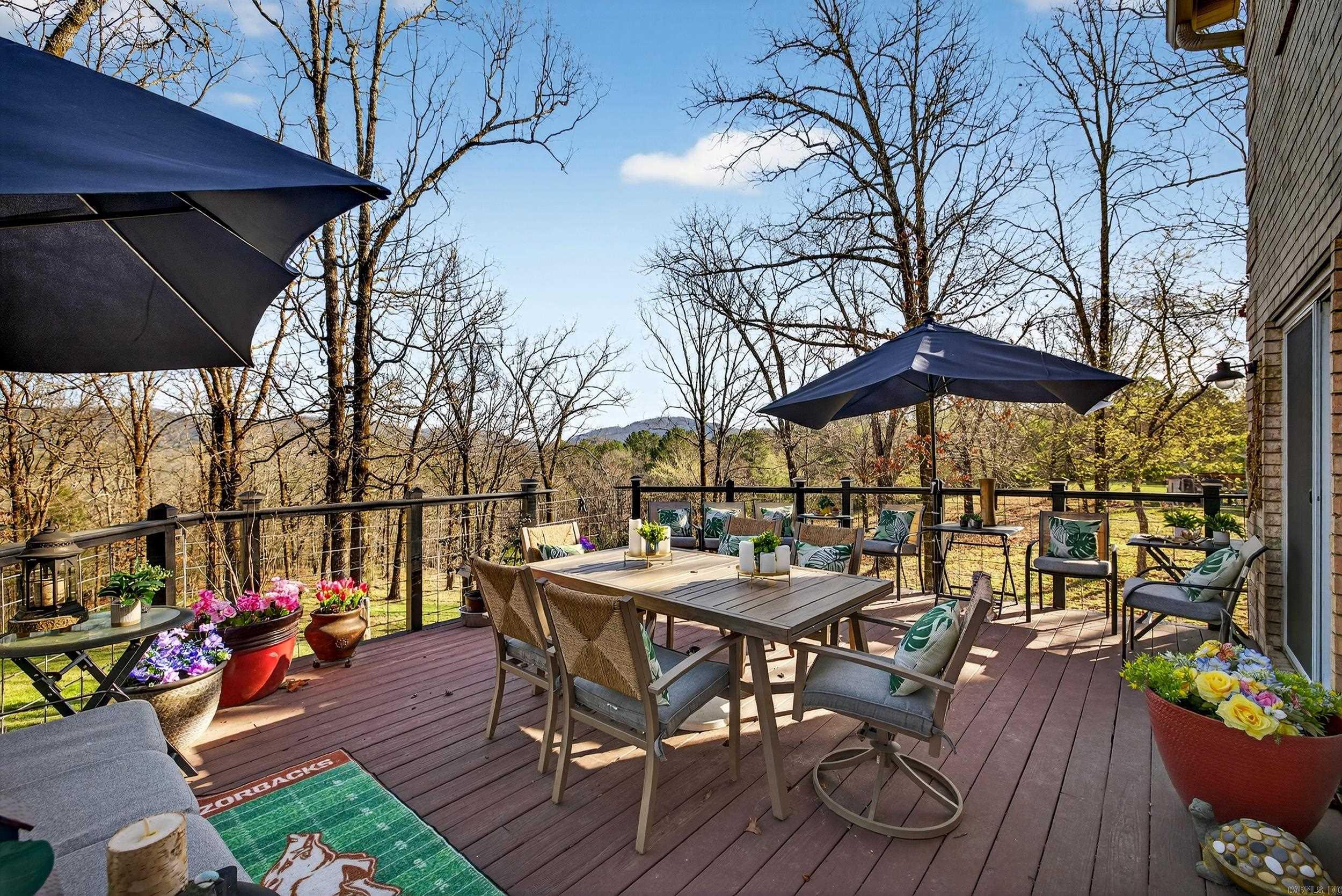1377 Cones Road Property Photo 32