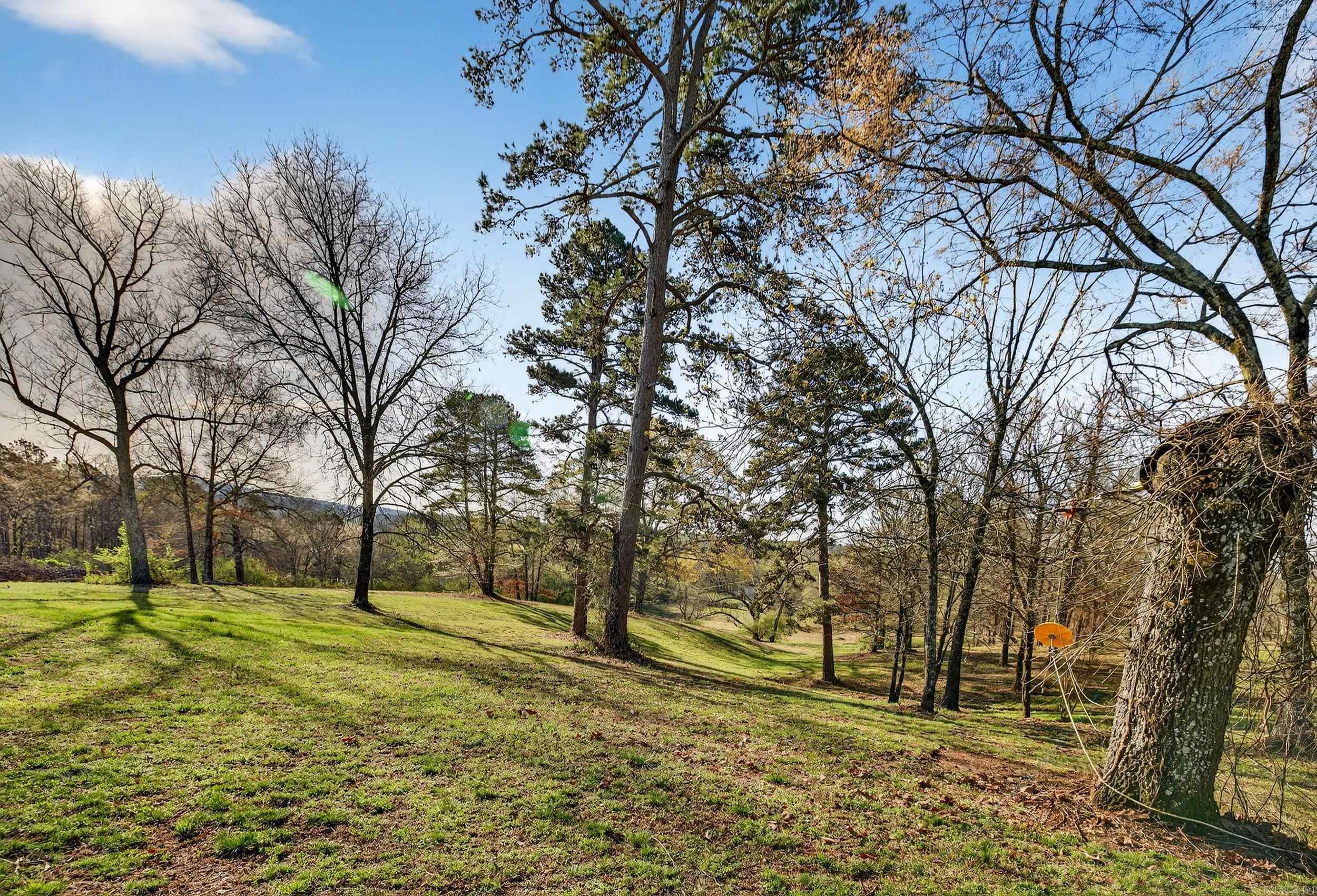 1377 Cones Road Property Photo 43