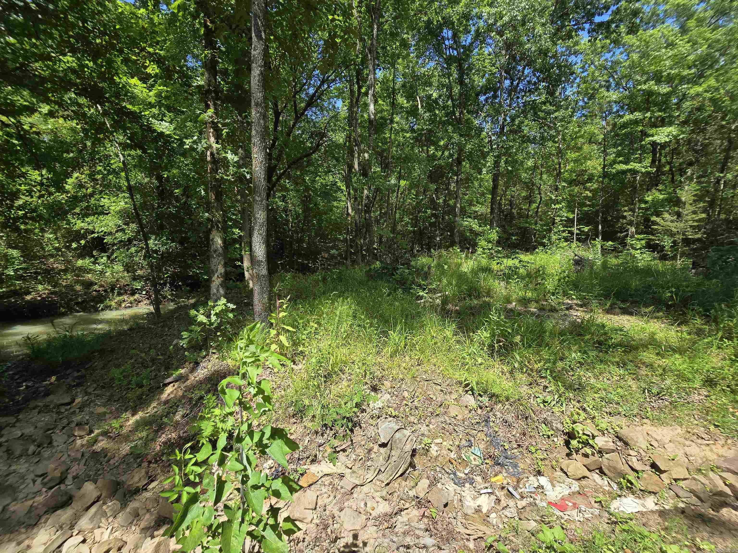 13080 Trails End Road Property Photo 7