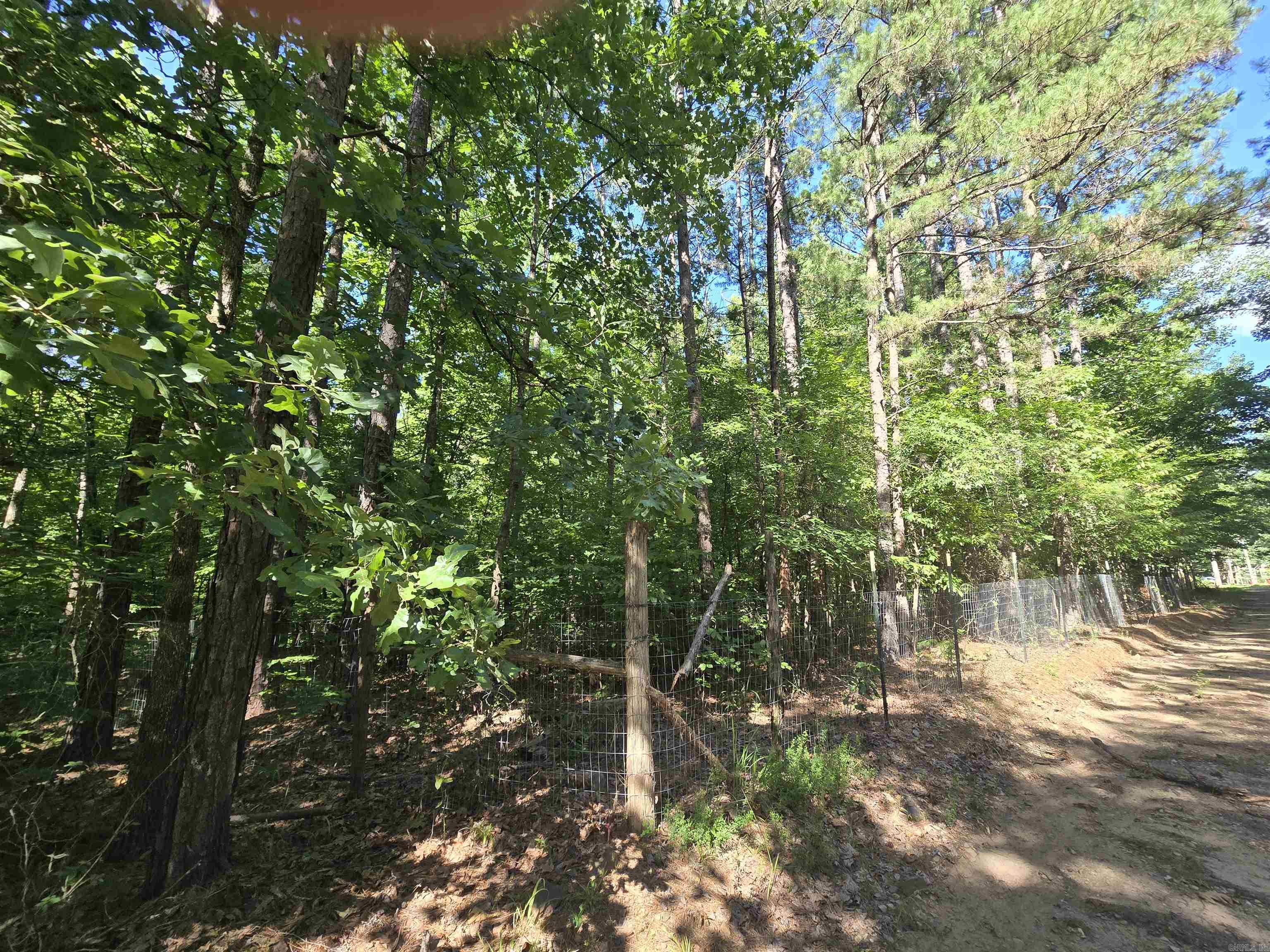 13080 Trails End Road Property Photo 29