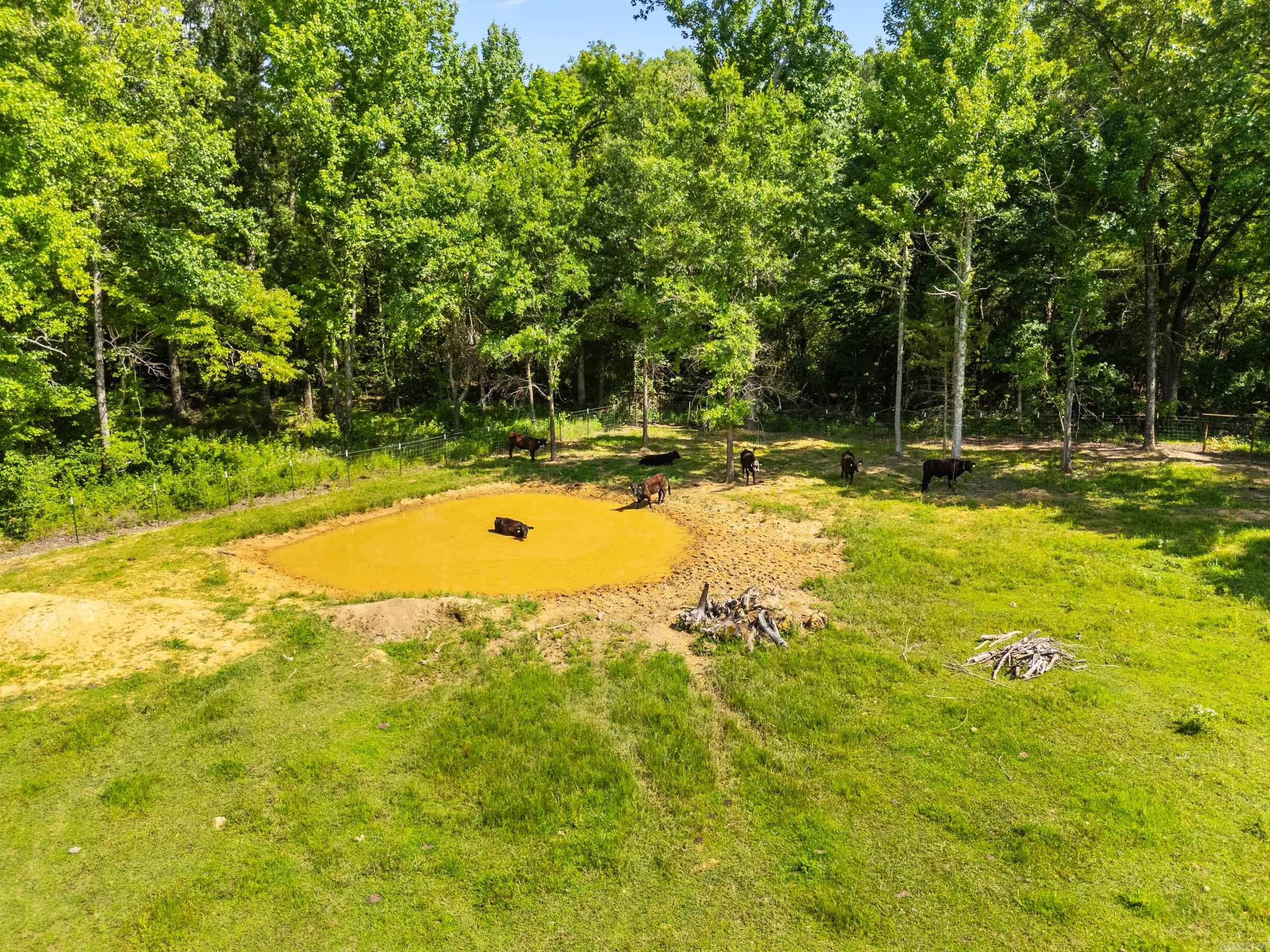 157 S Mt Olive Road Property Photo 43