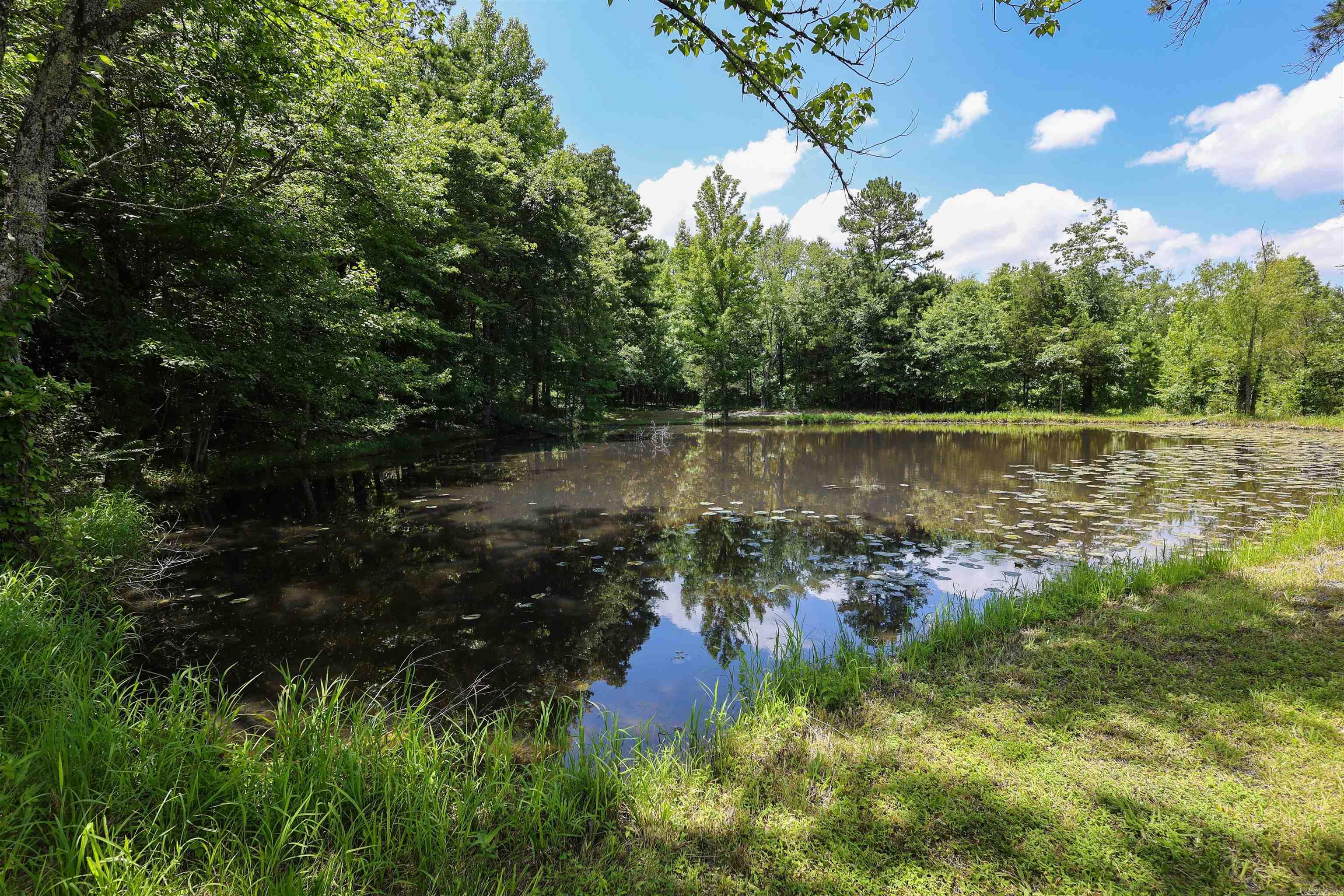 1101 Brushy Road Property Photo 34