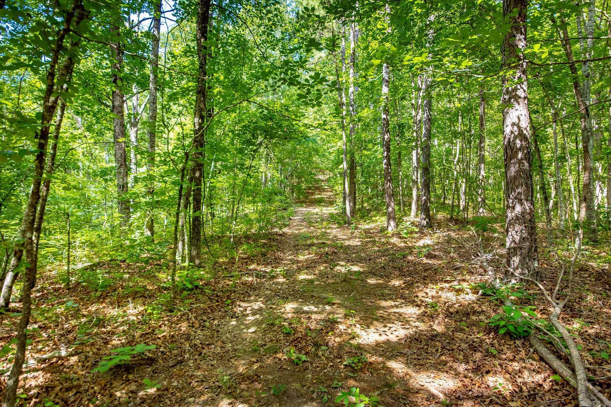 Highway 16 West Property Photo 1