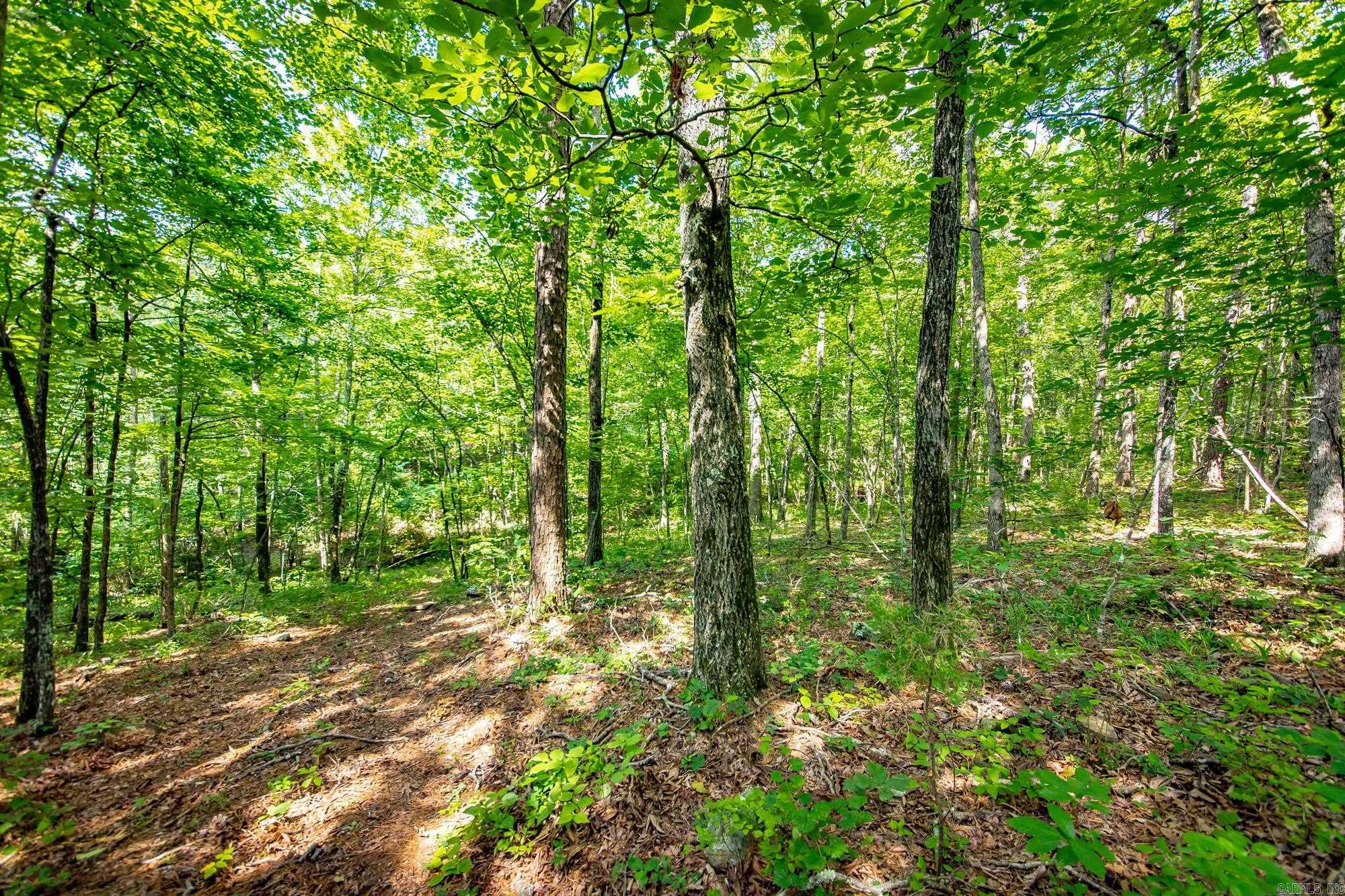 Highway 16 West Property Photo 8