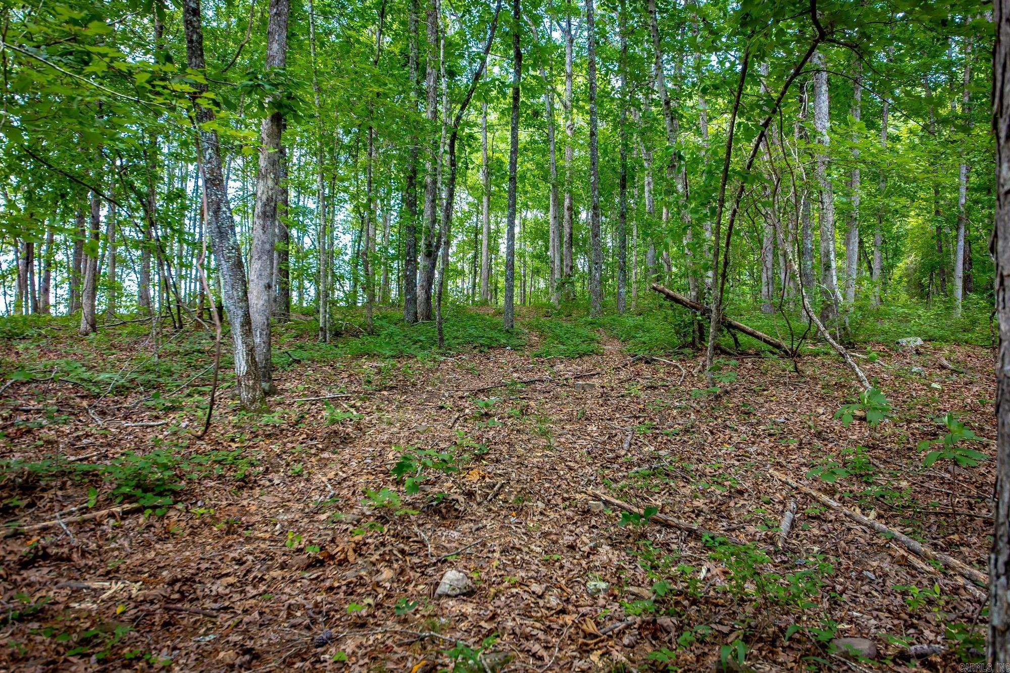 Highway 16 West Property Photo 11