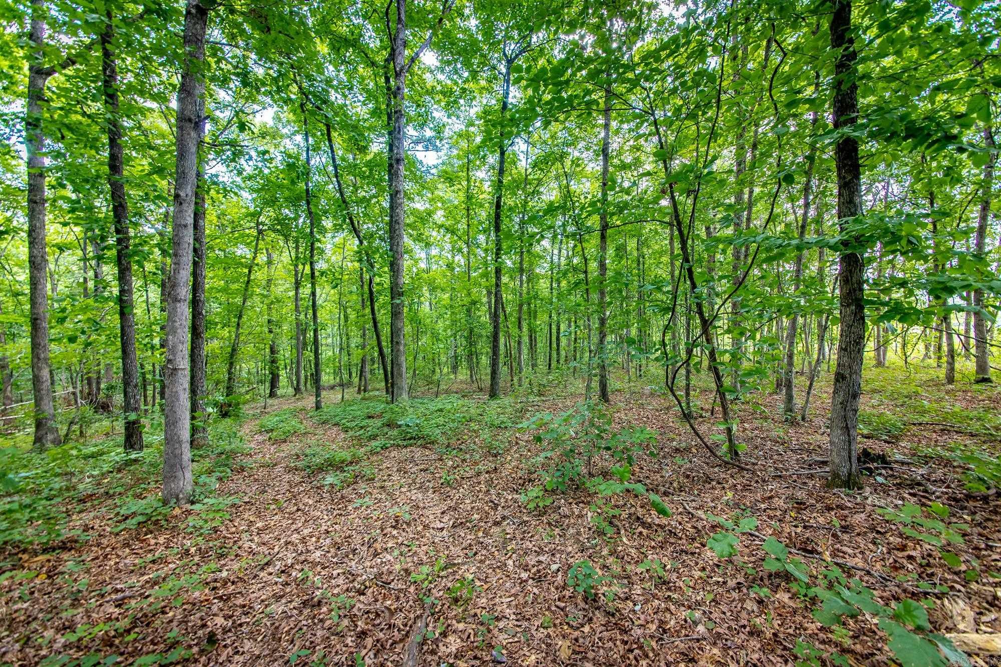 Highway 16 West Property Photo 12
