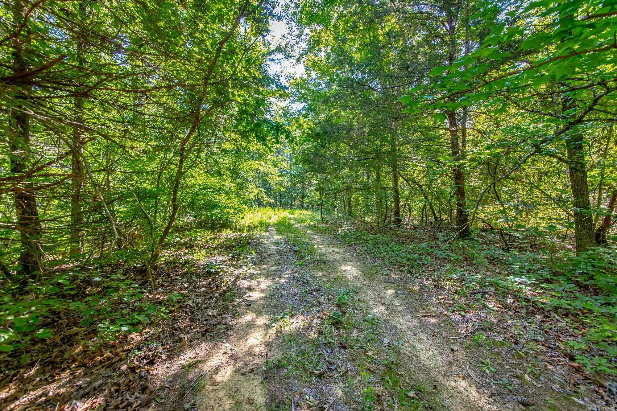 Highway 16 West Property Photo 13