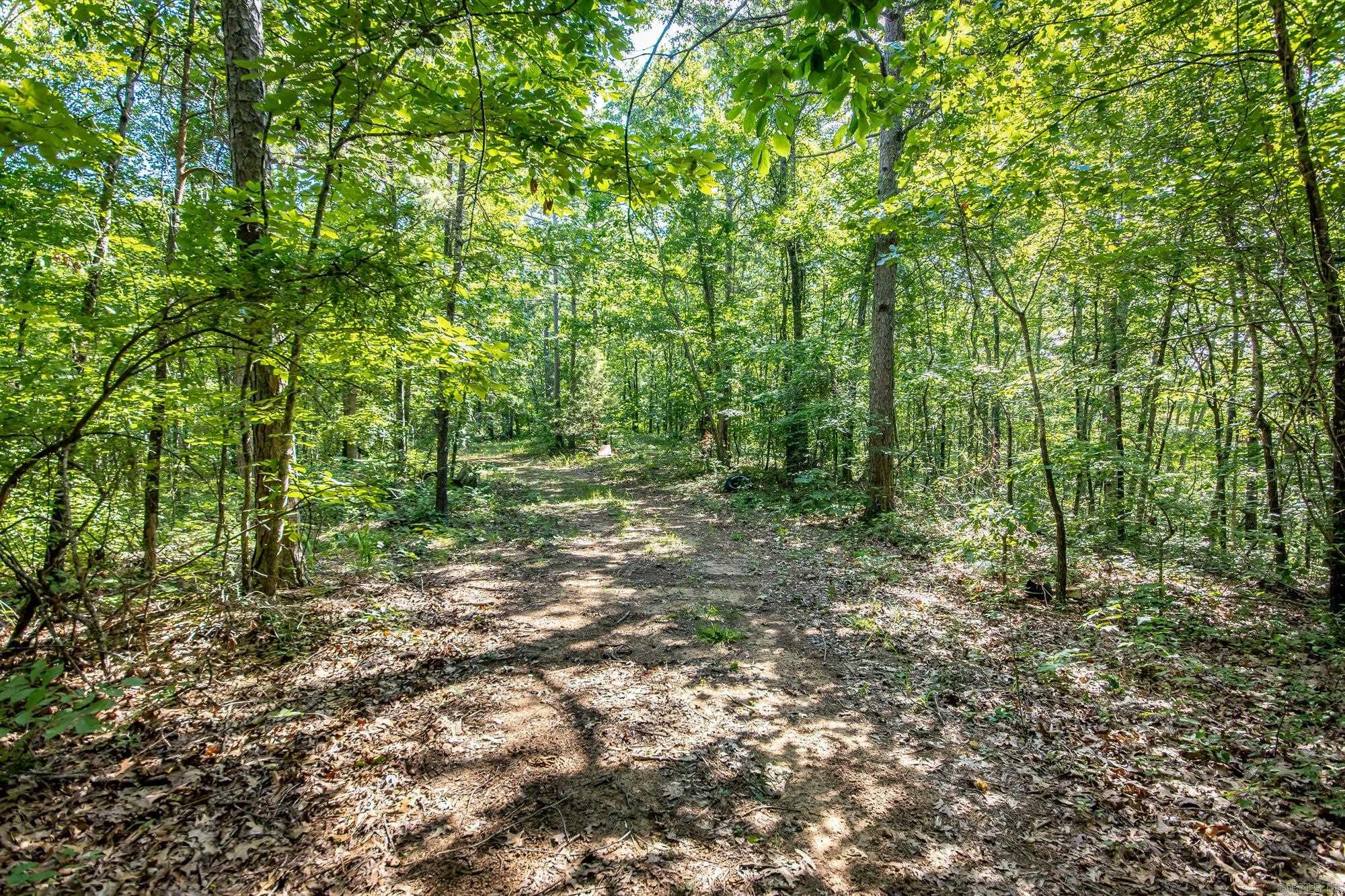Highway 16 West Property Photo 14