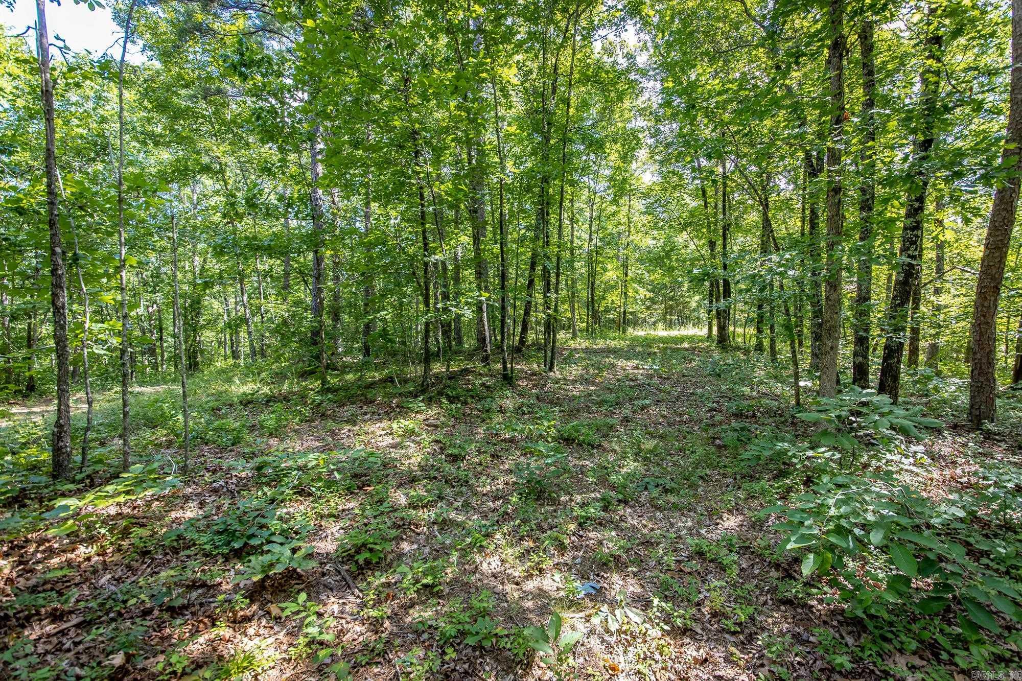 Highway 16 West Property Photo 15