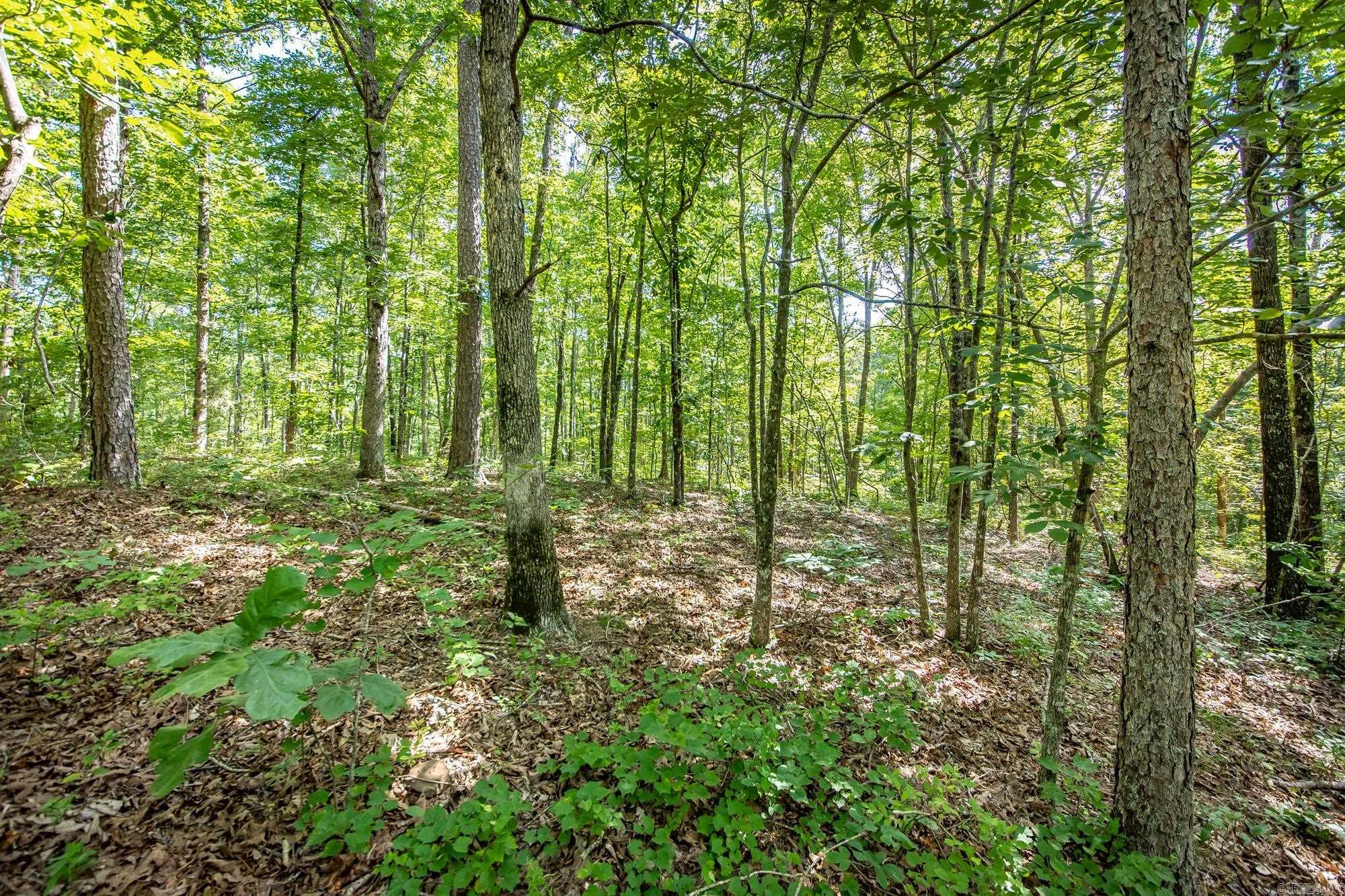 Highway 16 West Property Photo 16
